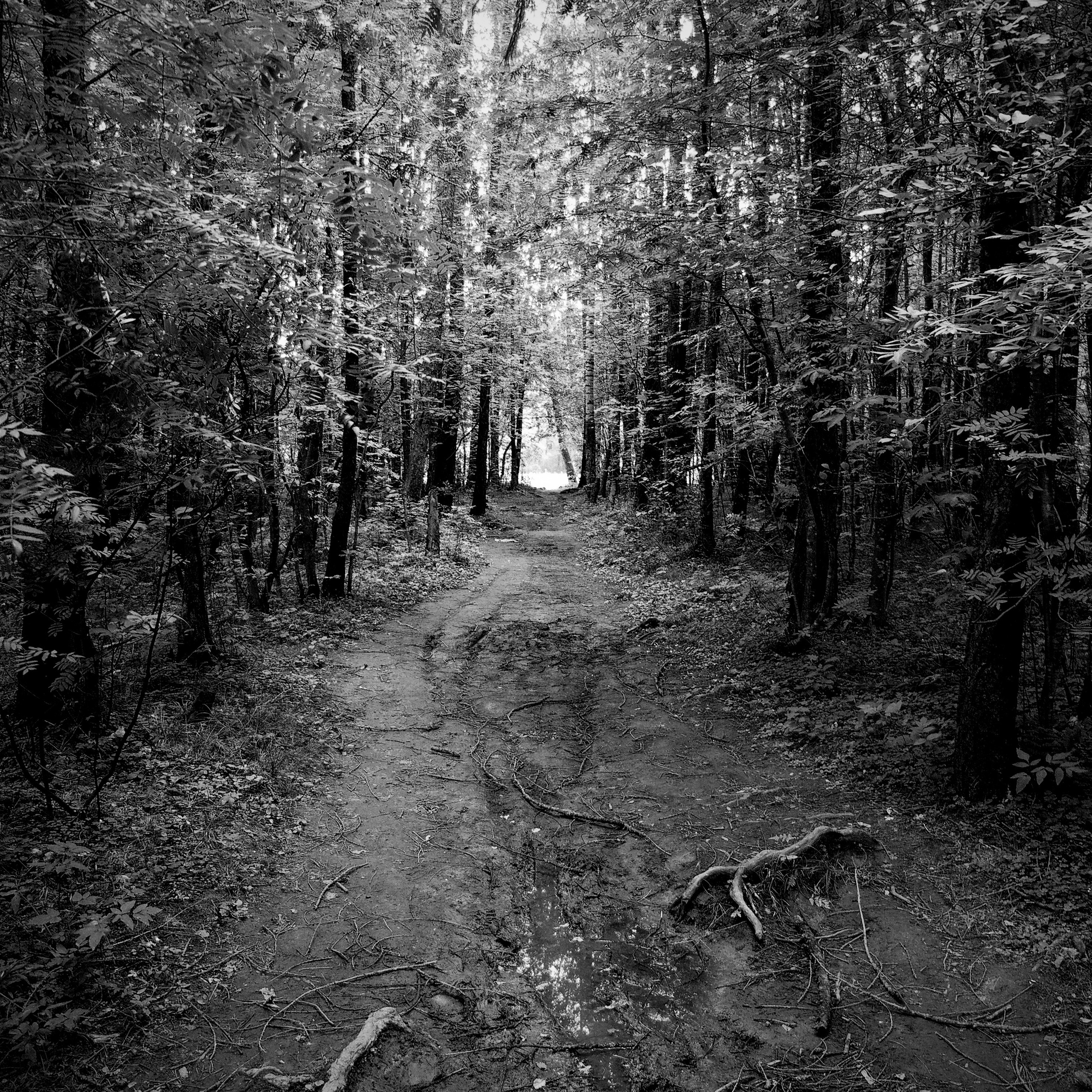 Bardo. Роман Ходырев — эзотериолог, художник, фотограф и музыкант. Санкт-Петербург, Рига
