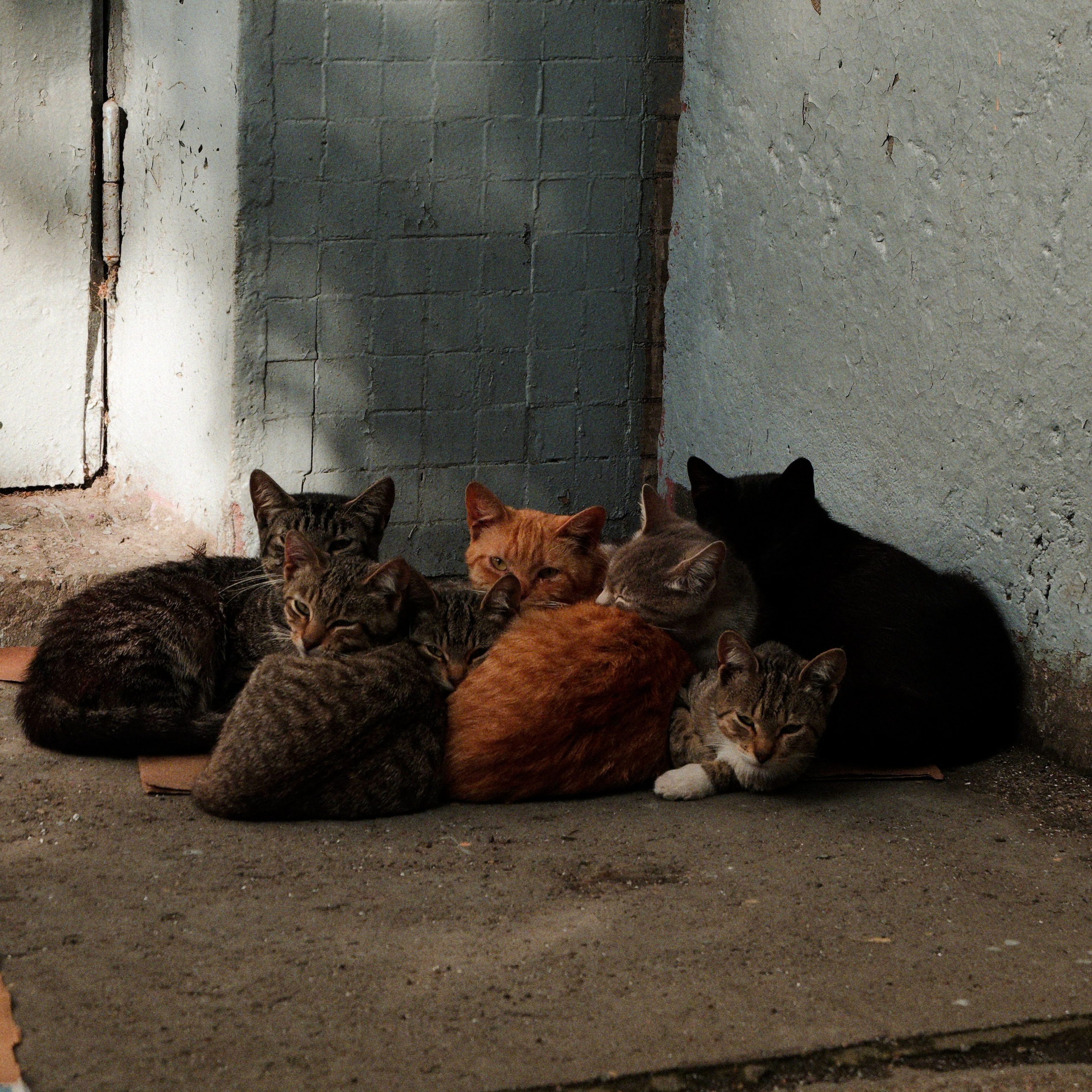 Bardo. Роман Ходырев — эзотериолог, художник, фотограф и музыкант. Санкт-Петербург, Рига