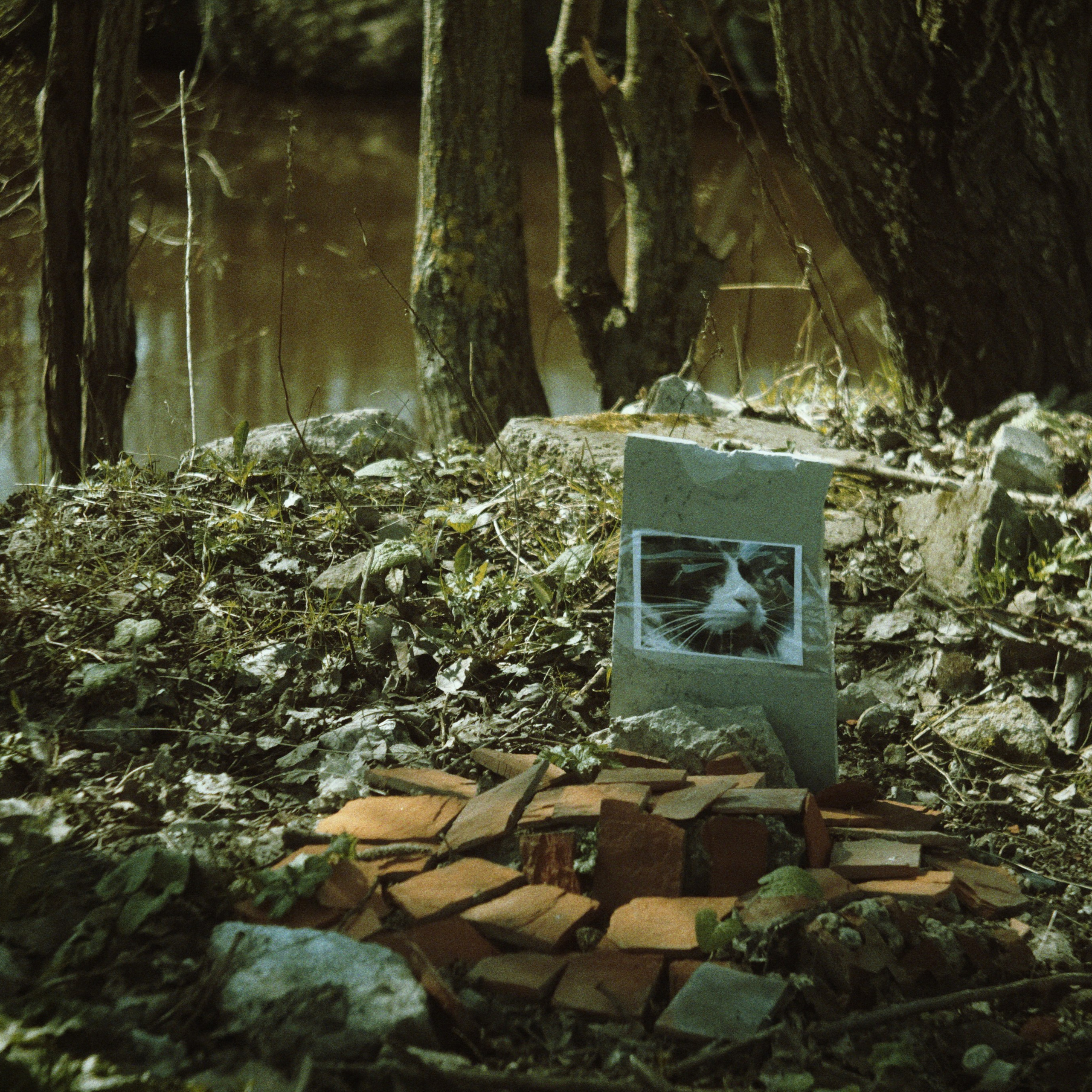 Bardo. Роман Ходырев — эзотериолог, художник, фотограф и музыкант. Санкт-Петербург, Рига