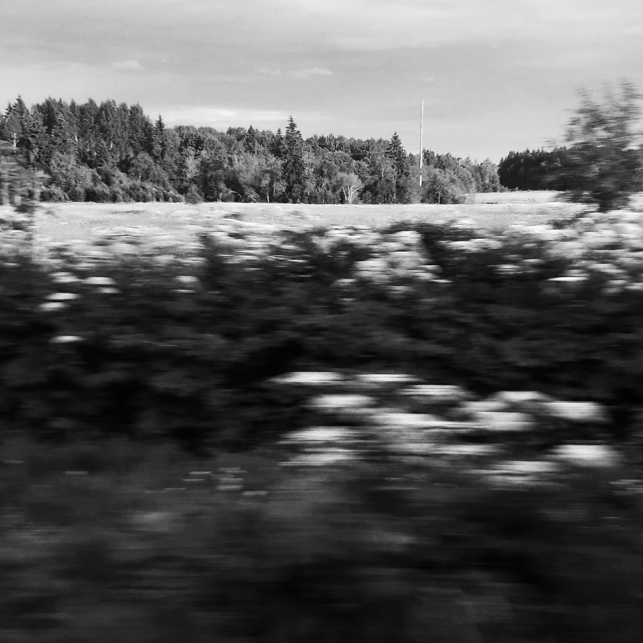 Bardo. Роман Ходырев — эзотериолог, художник, фотограф и музыкант. Санкт-Петербург, Рига