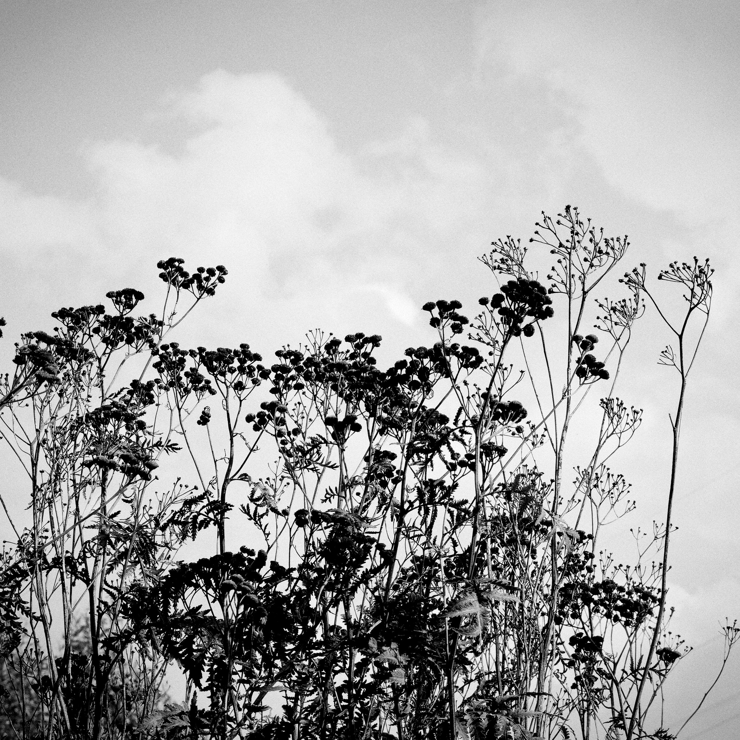 Bardo. Роман Ходырев — эзотериолог, художник, фотограф и музыкант. Санкт-Петербург, Рига