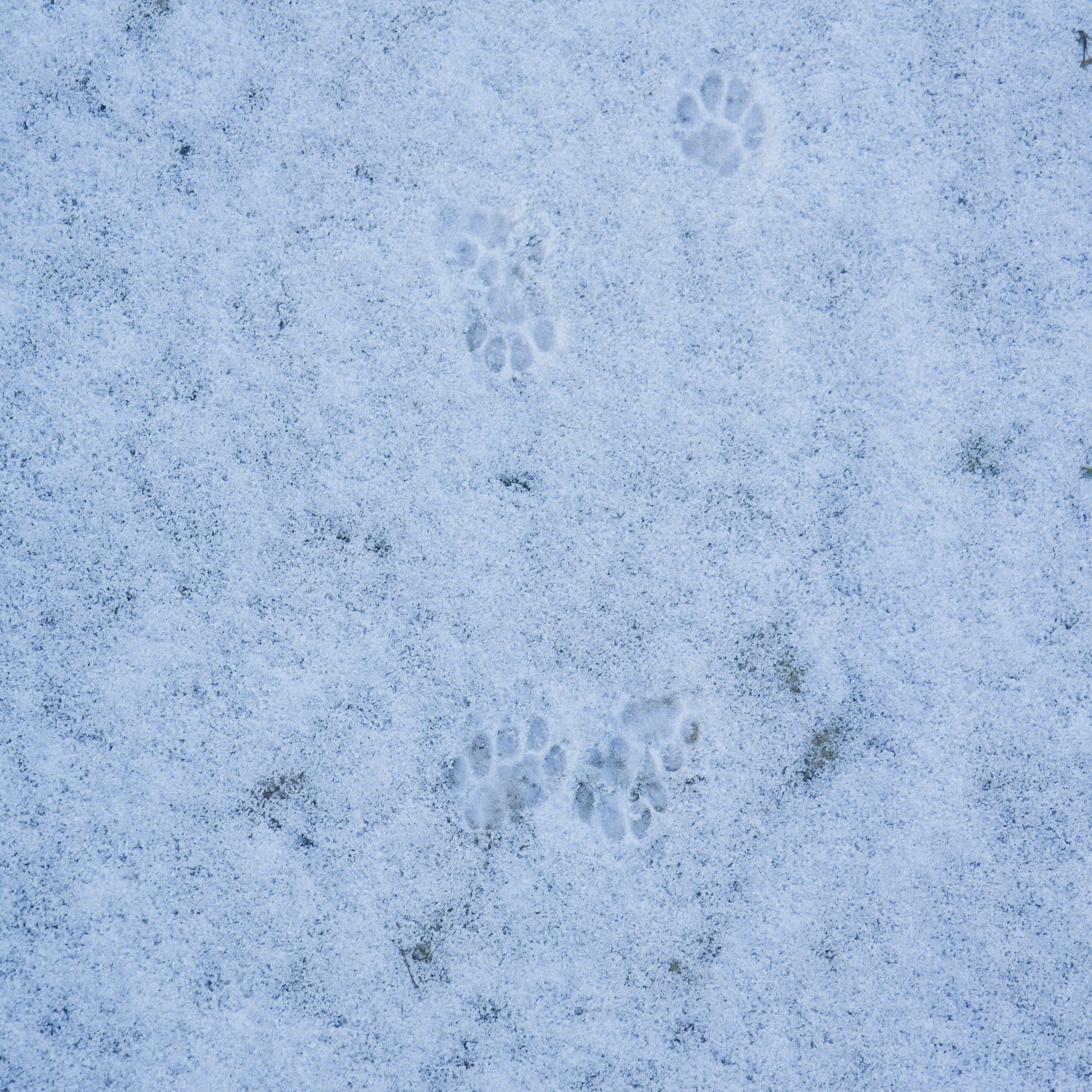 Bardo. Роман Ходырев — эзотериолог, художник, фотограф и музыкант. Санкт-Петербург, Рига