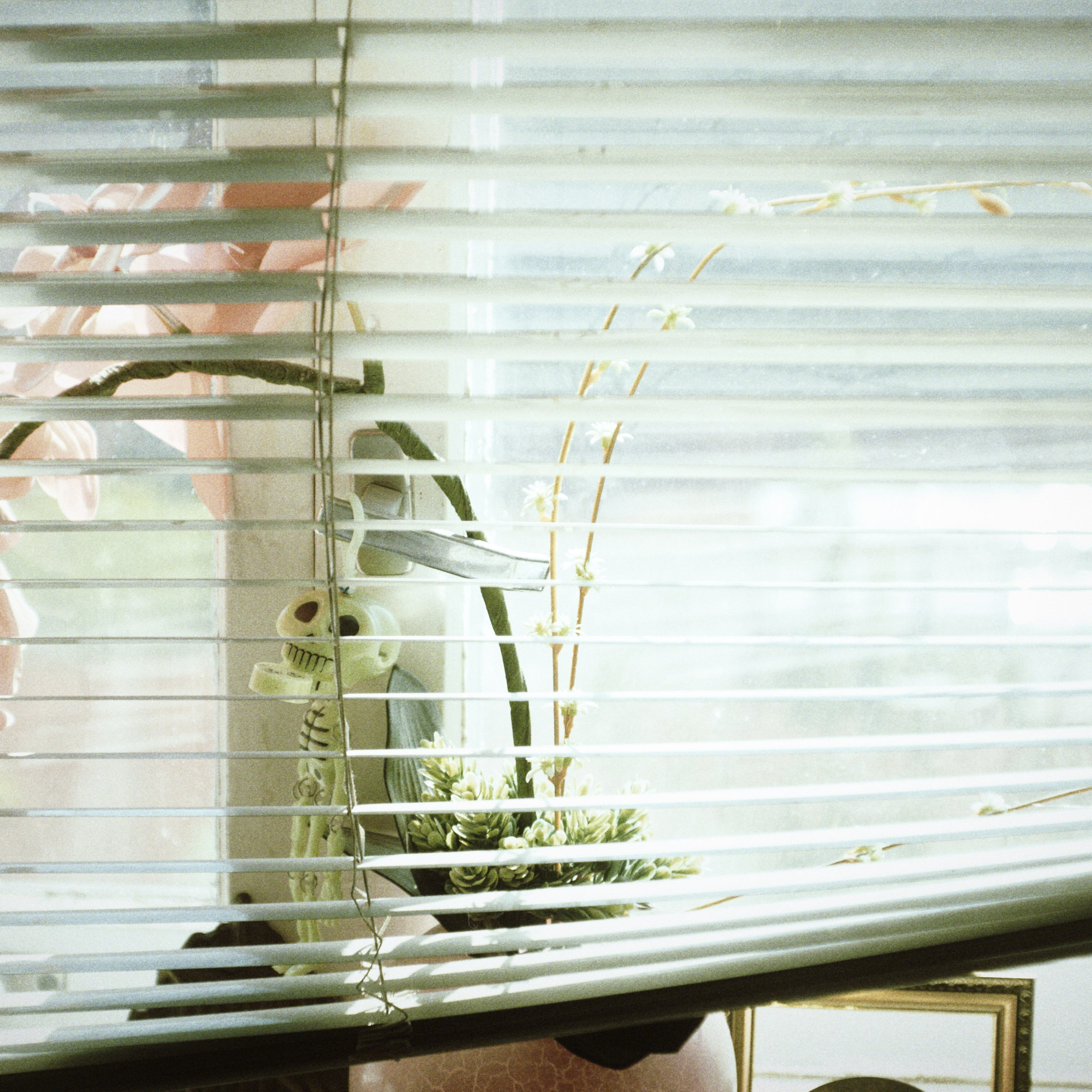 Bardo. Роман Ходырев — эзотериолог, художник, фотограф и музыкант. Санкт-Петербург, Рига