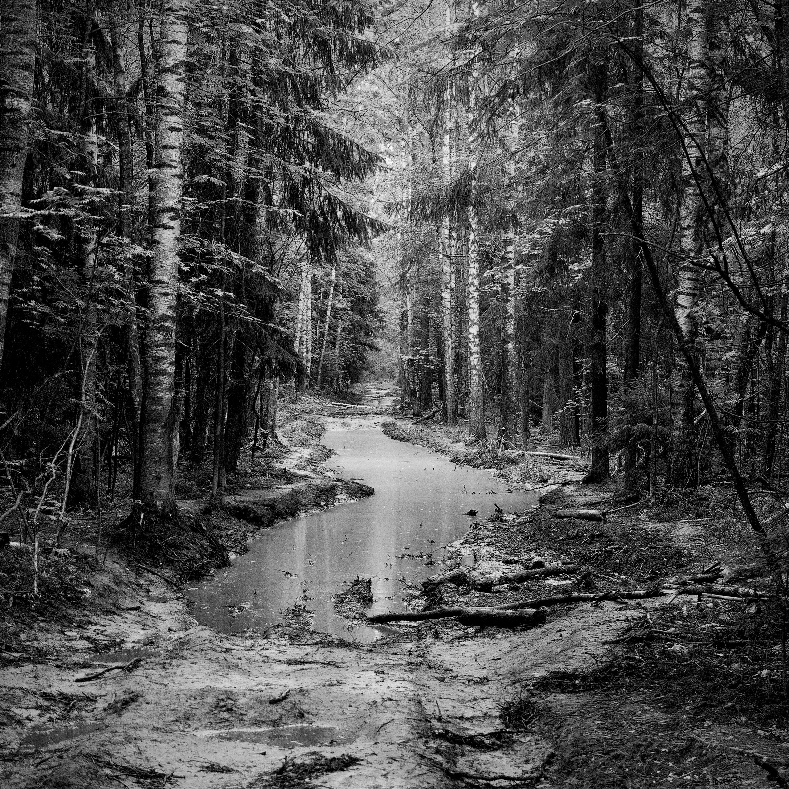 Bardo. Роман Ходырев — эзотериолог, художник, фотограф и музыкант. Санкт-Петербург, Рига