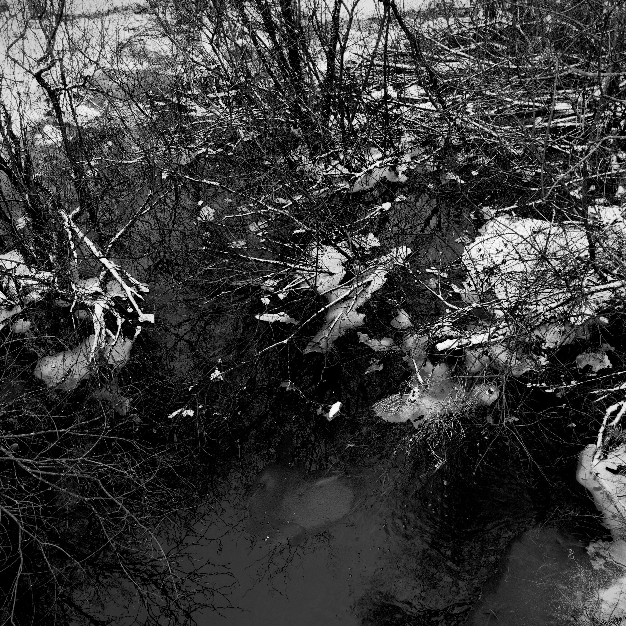 Bardo. Роман Ходырев — эзотериолог, художник, фотограф и музыкант. Санкт-Петербург, Рига