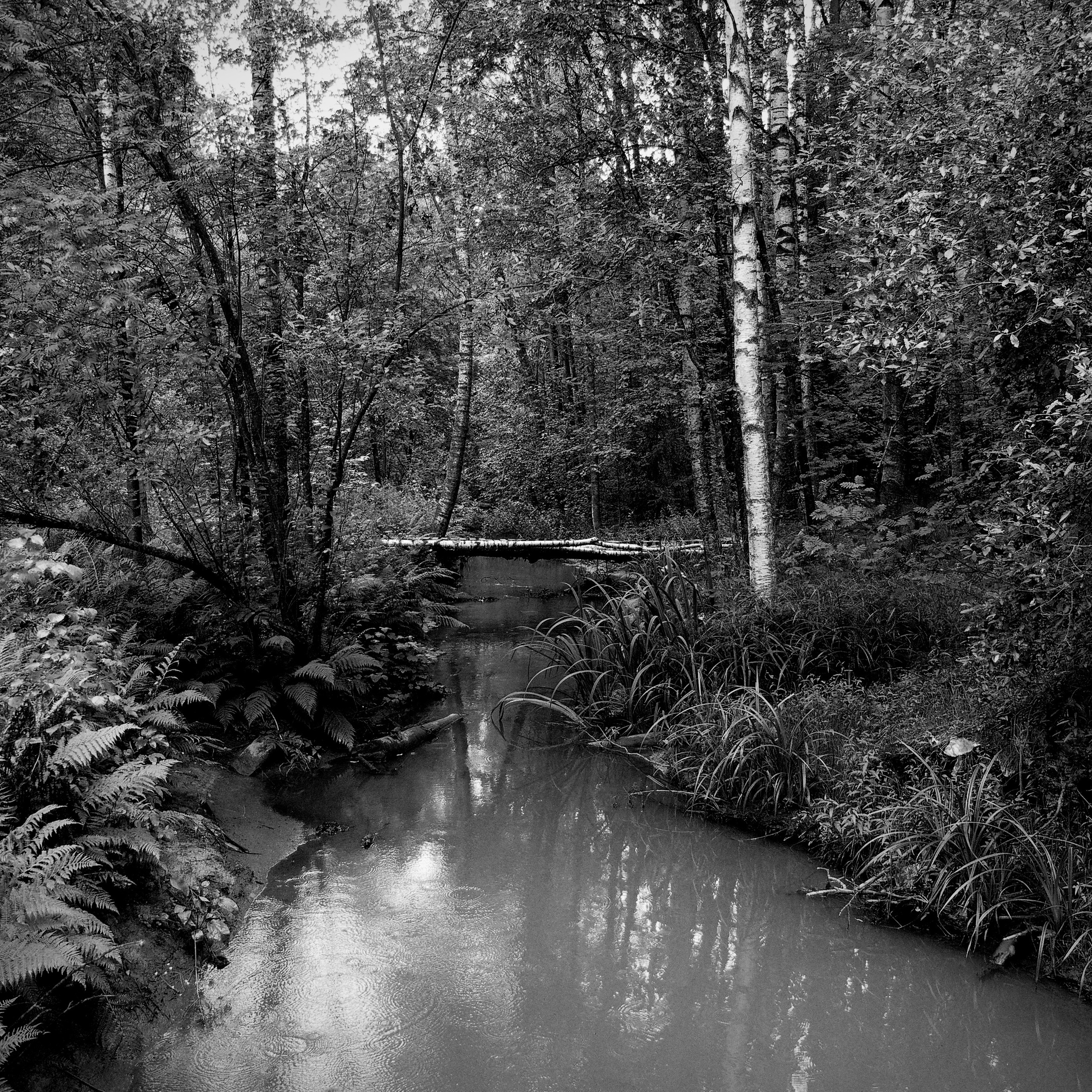Bardo. Роман Ходырев — эзотериолог, художник, фотограф и музыкант. Санкт-Петербург, Рига