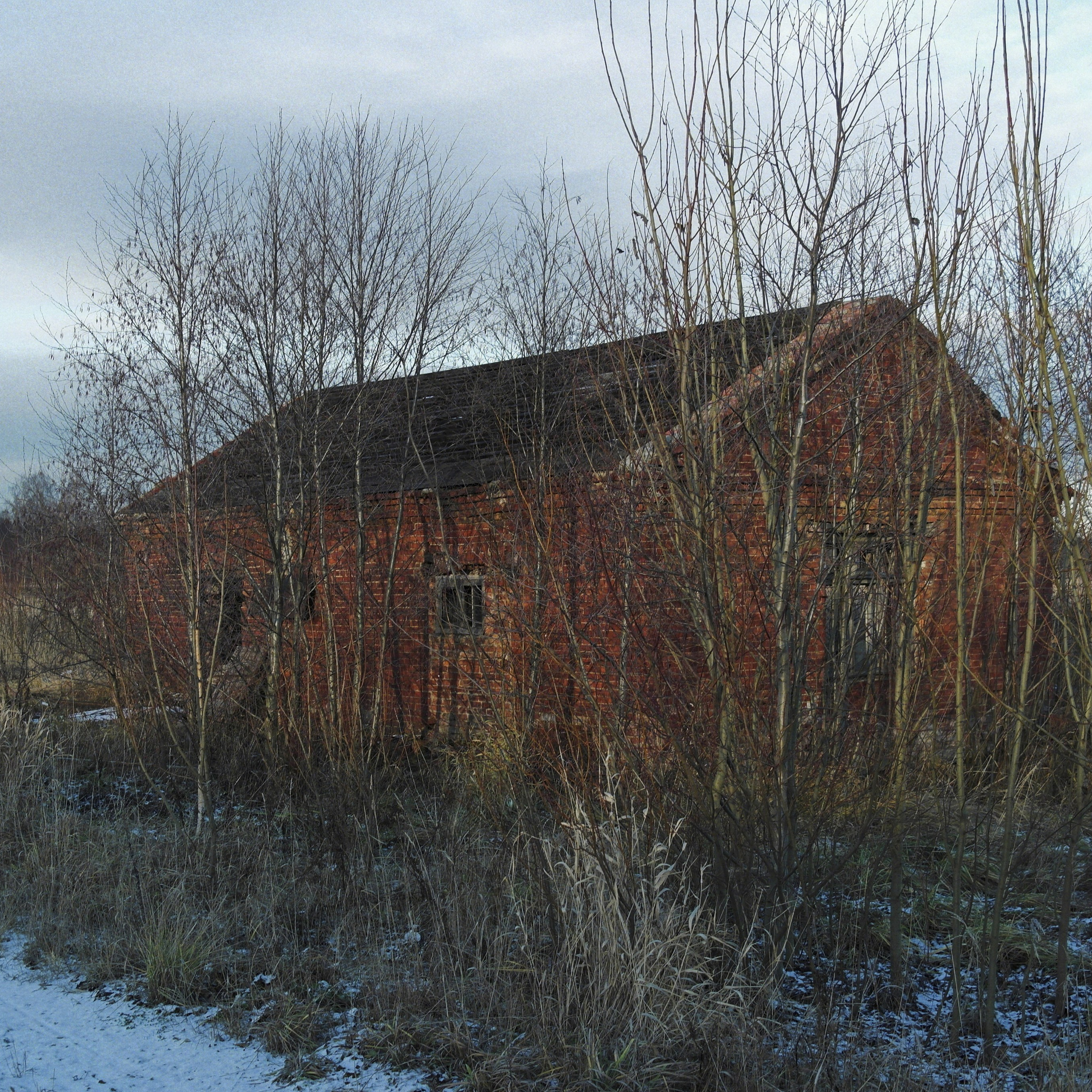 Bardo. Роман Ходырев — эзотериолог, художник, фотограф и музыкант. Санкт-Петербург, Рига