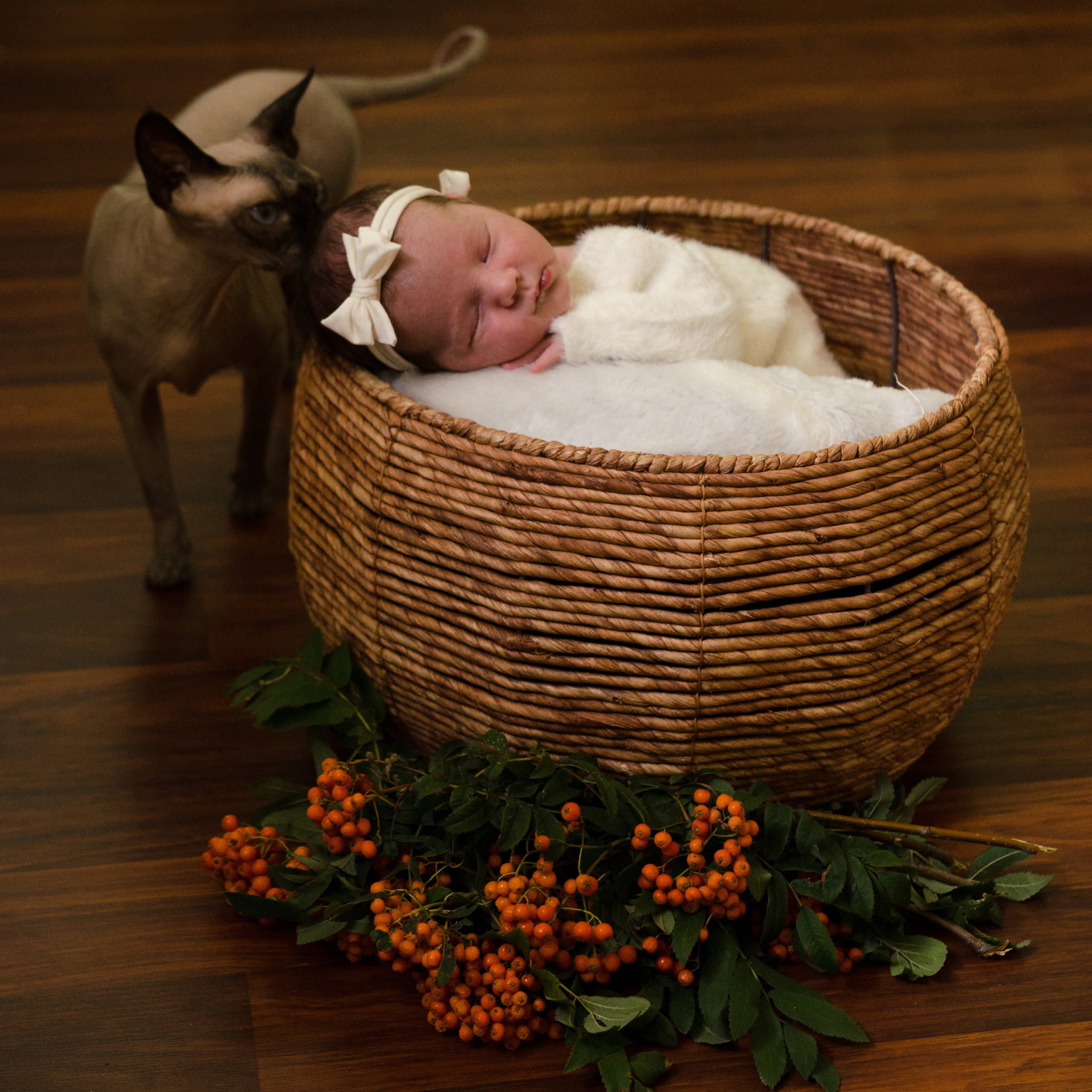 Фотосессия новорожденного в Воронеже. Фотограф новорожденных Воронеж — Дорохина Яна. Семейный фотограф