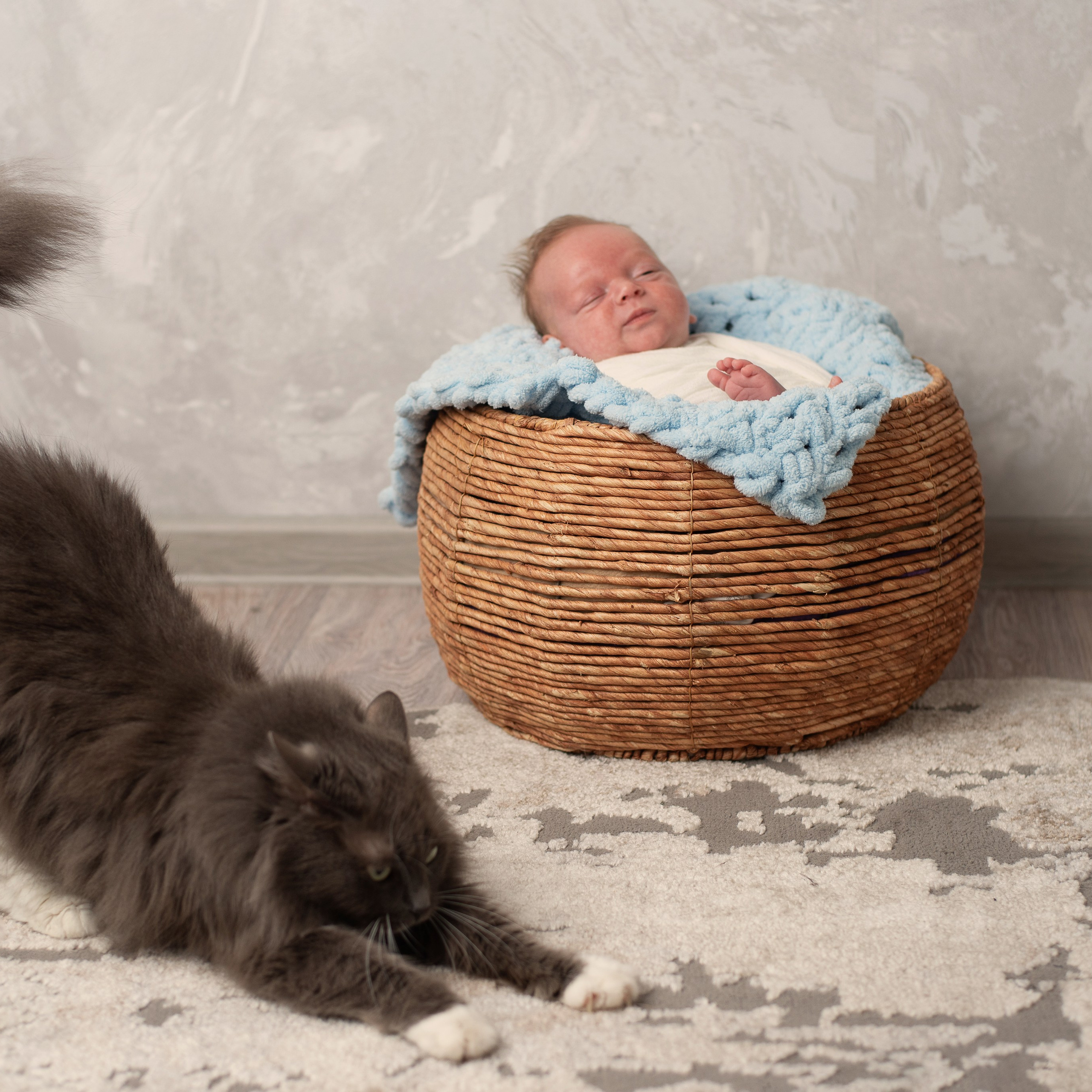 Фотосессия новорожденного в Воронеже. Фотограф новорожденных Воронеж — Дорохина Яна. Семейный фотограф