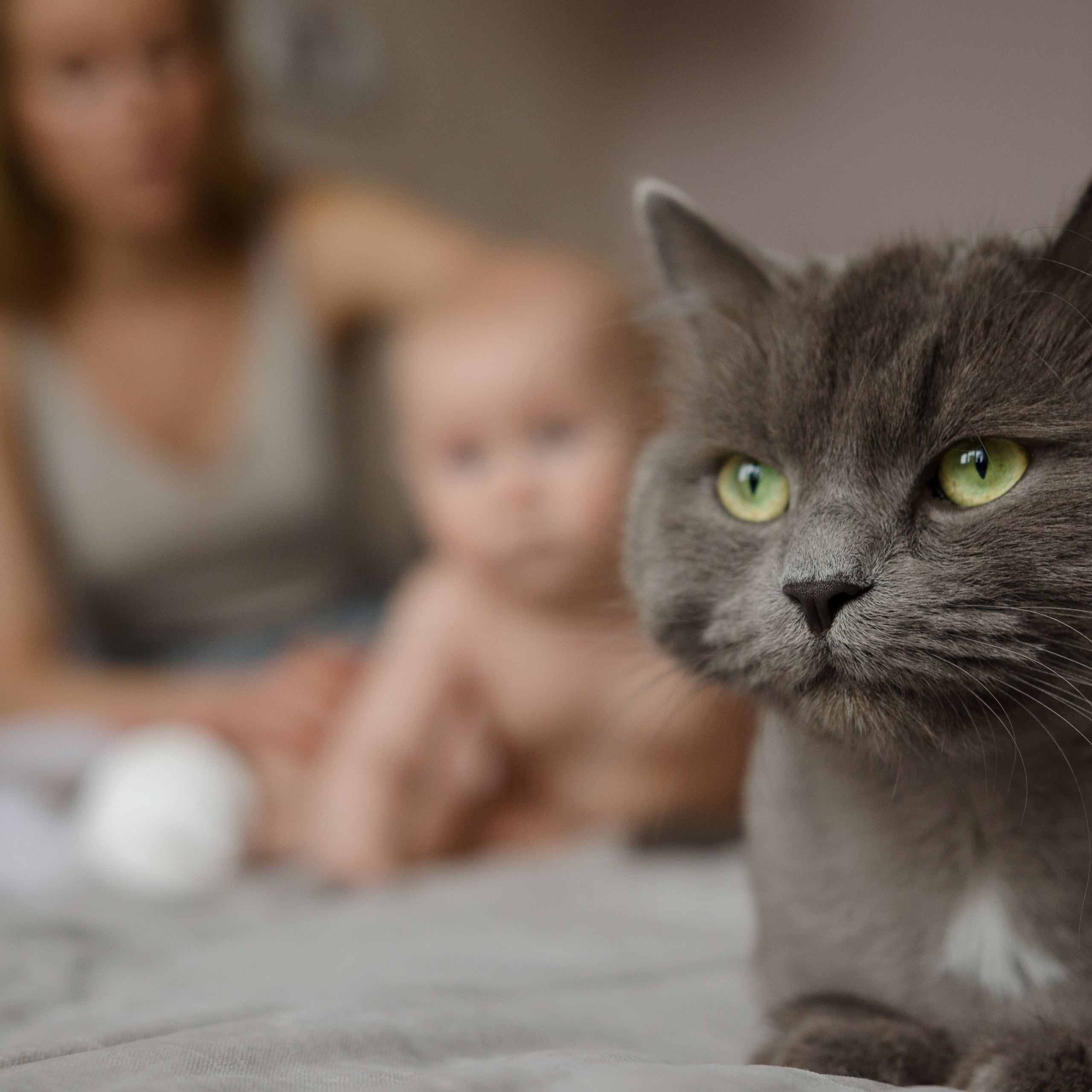 Семейная съемка. Фотограф новорожденных Воронеж — Дорохина Яна. Семейный фотограф