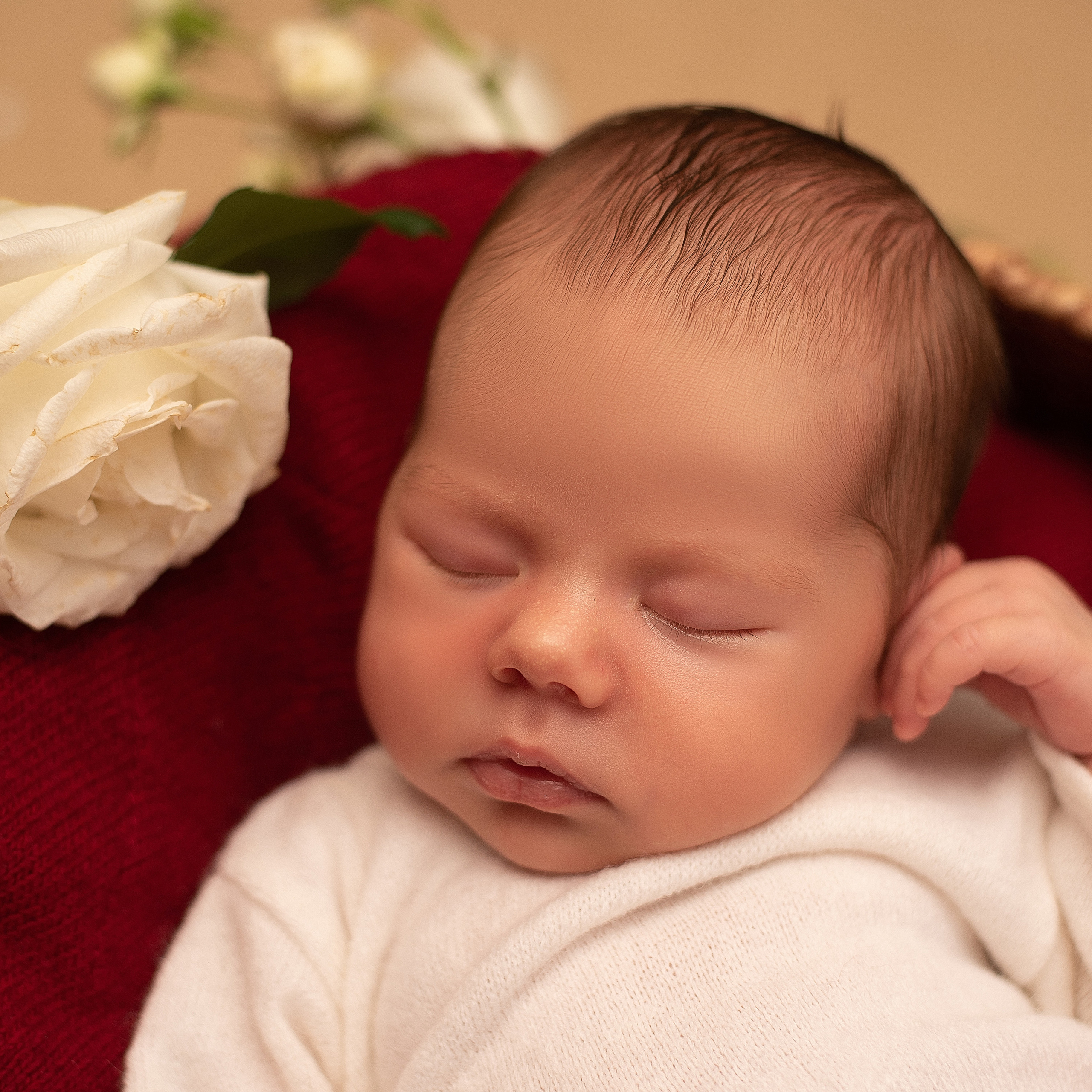 Фотосессия новорожденного в Воронеже. Фотограф новорожденных Воронеж — Дорохина Яна. Семейный фотограф