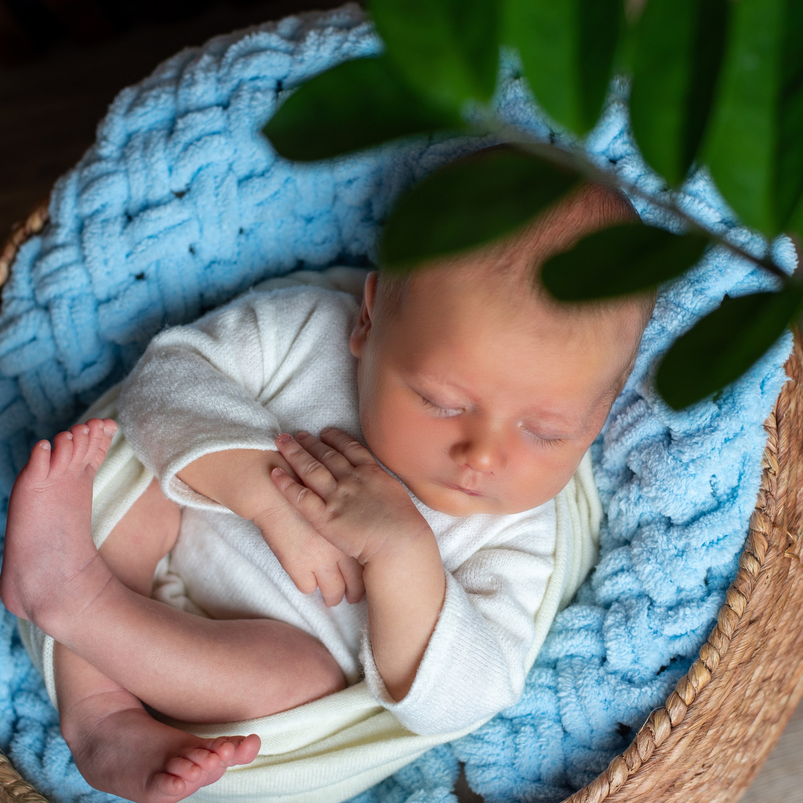 Фотосессия новорожденного в Воронеже. Фотограф новорожденных Воронеж — Дорохина Яна. Семейный фотограф