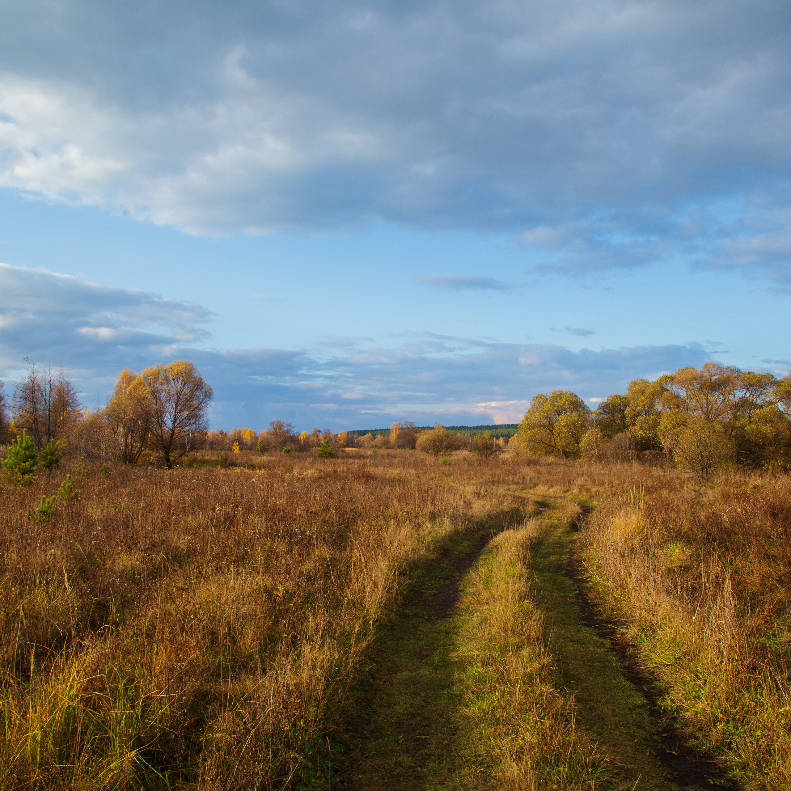 ТВОРЧЕСТВО. Творческая студия АЛНИфото