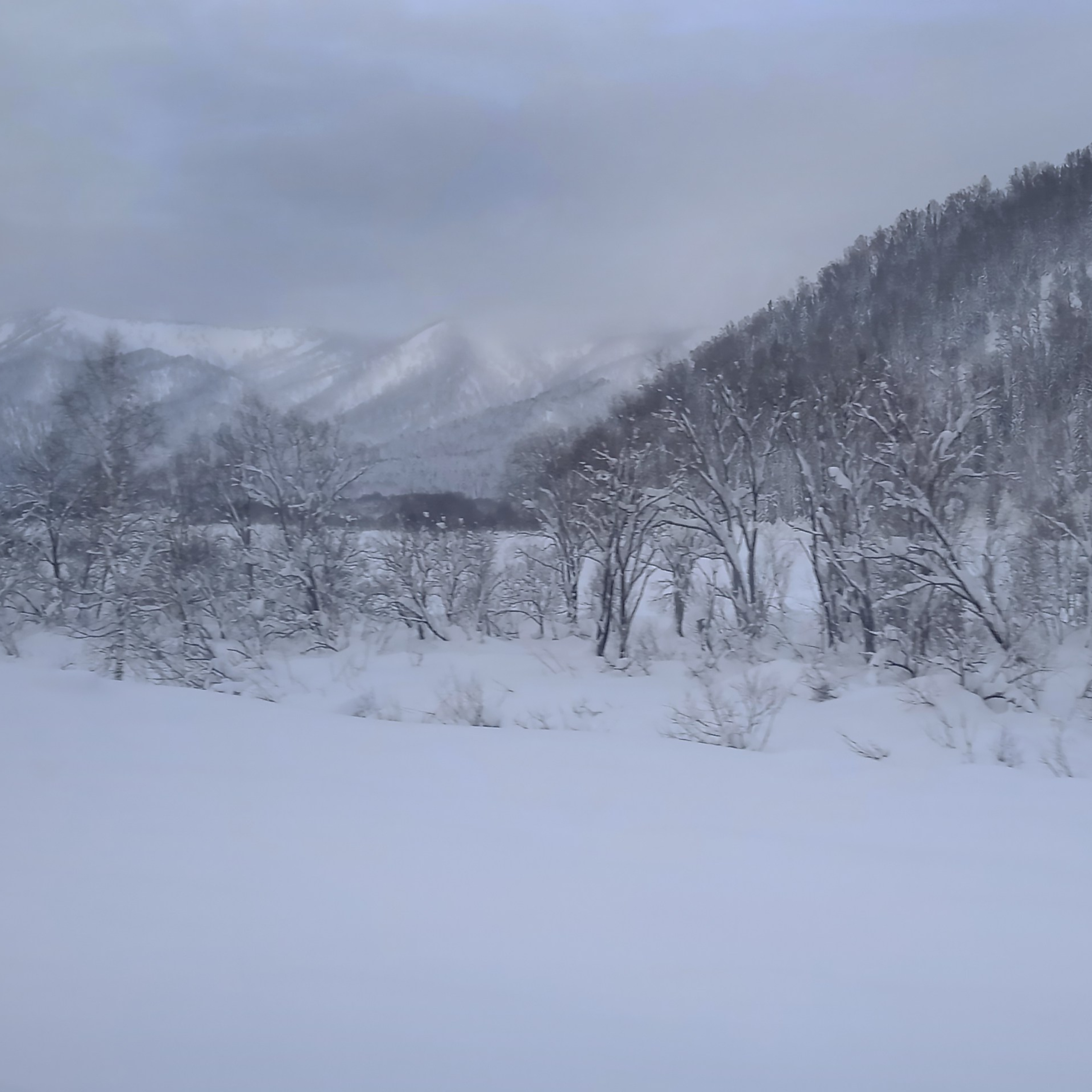ТВОРЧЕСТВО. Творческая студия АЛНИфото