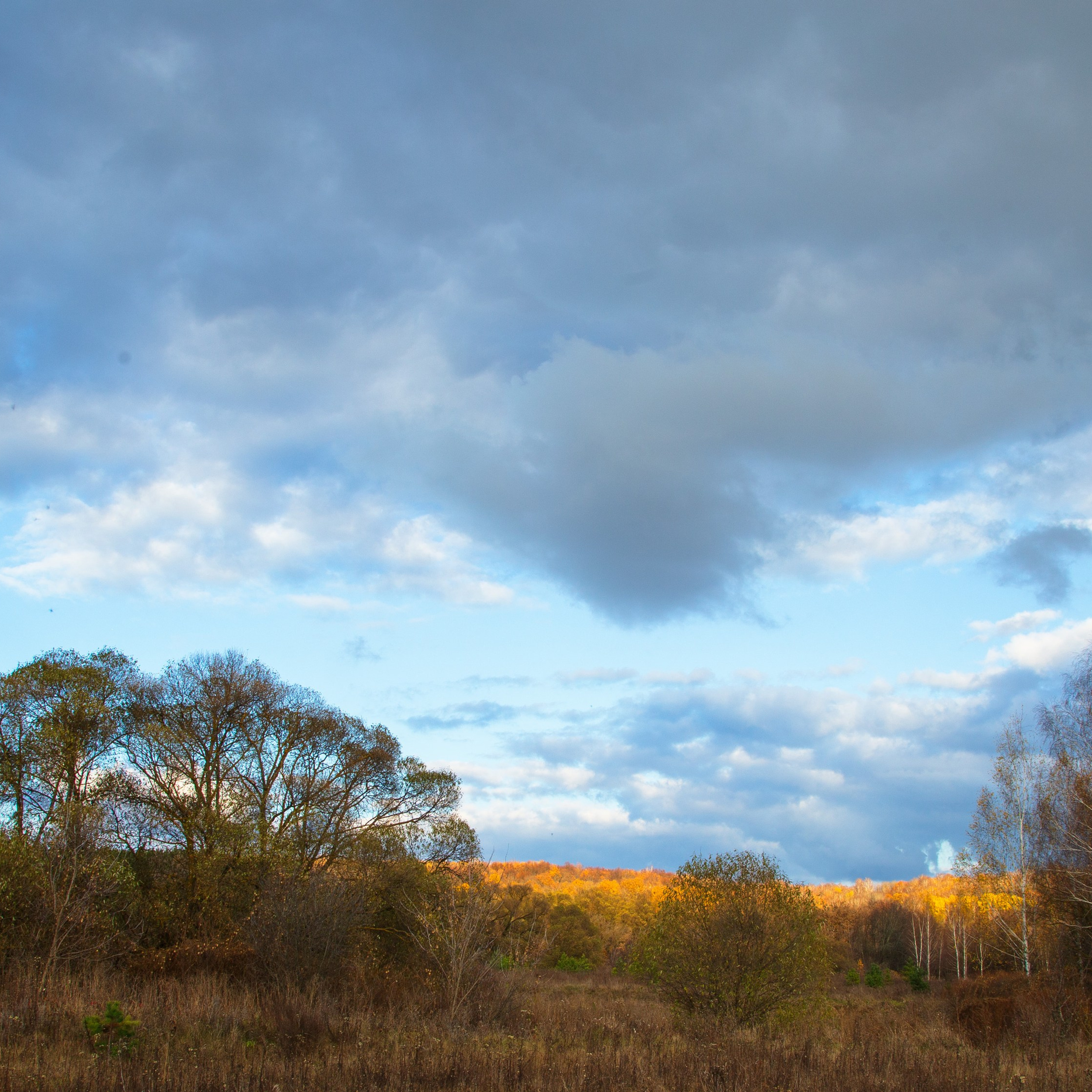 ТВОРЧЕСТВО. Творческая студия АЛНИфото
