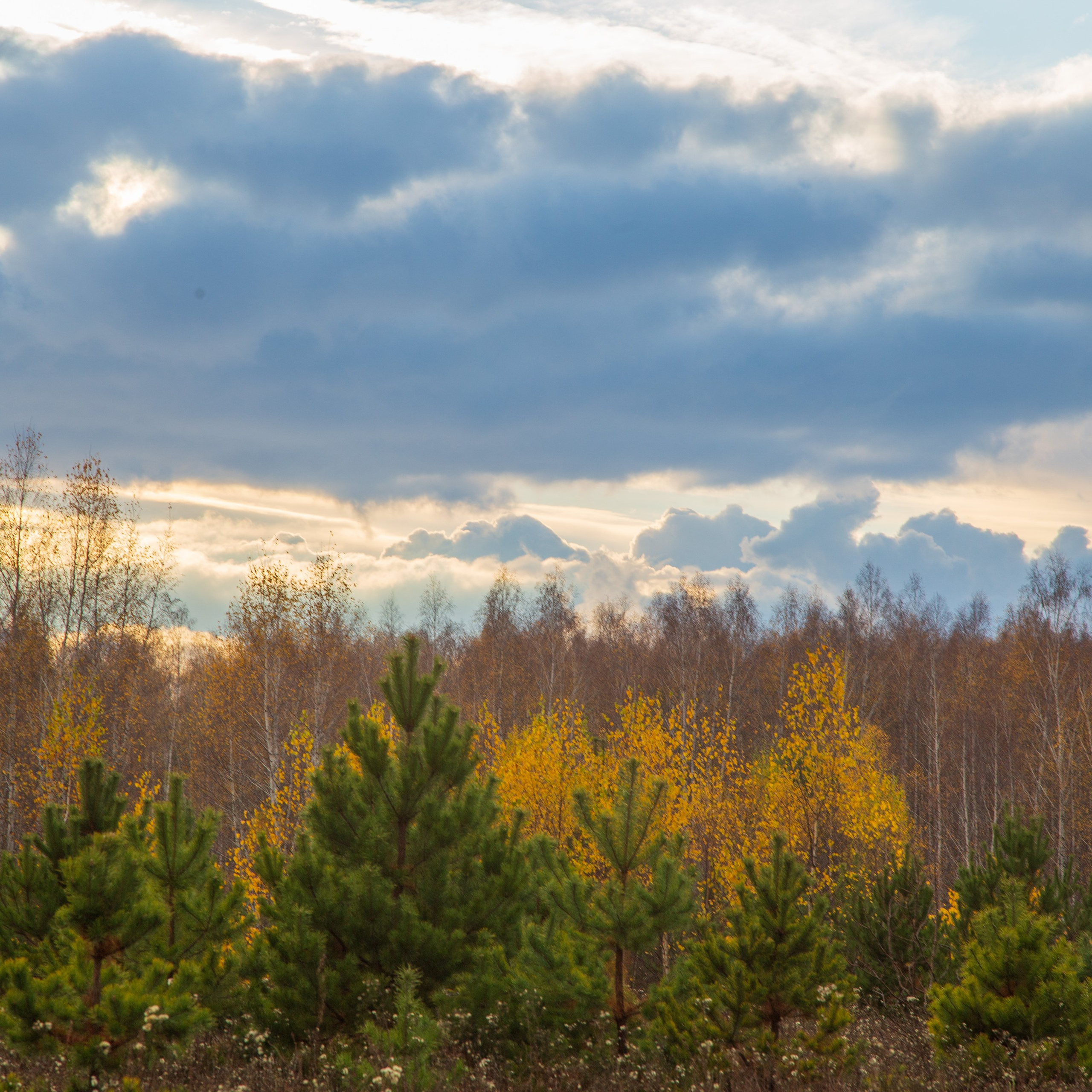 ТВОРЧЕСТВО. Творческая студия АЛНИфото