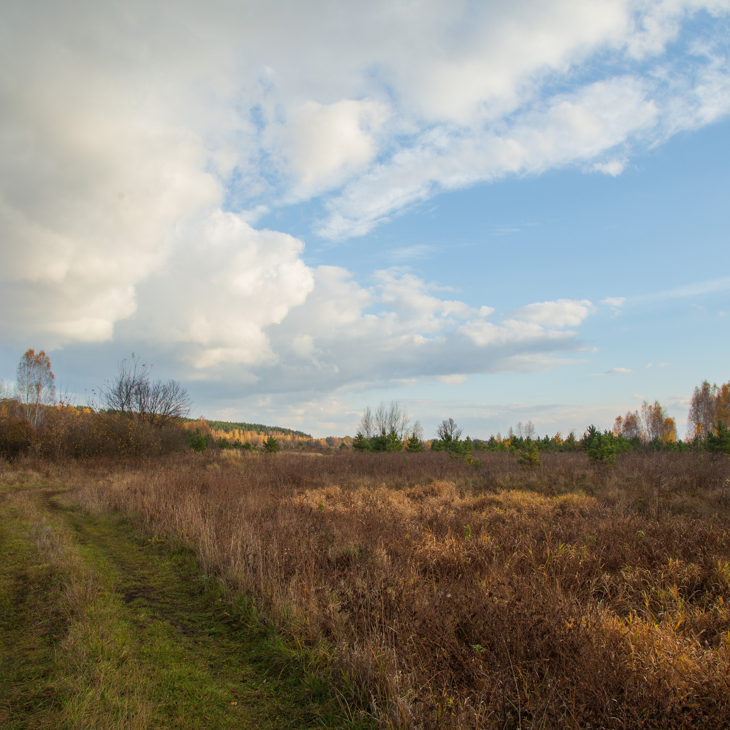 ТВОРЧЕСТВО. Творческая студия АЛНИфото