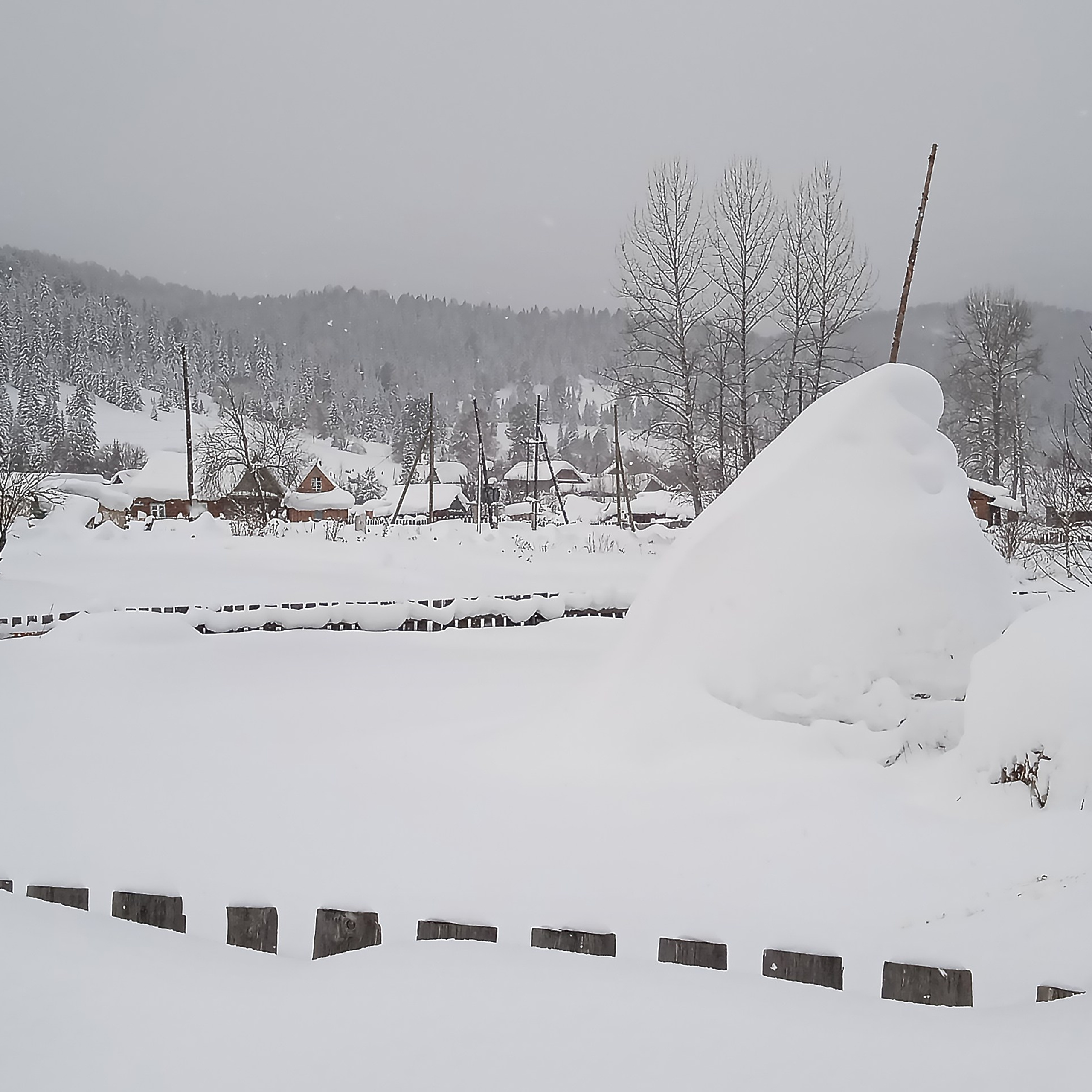 ТВОРЧЕСТВО. Творческая студия АЛНИфото