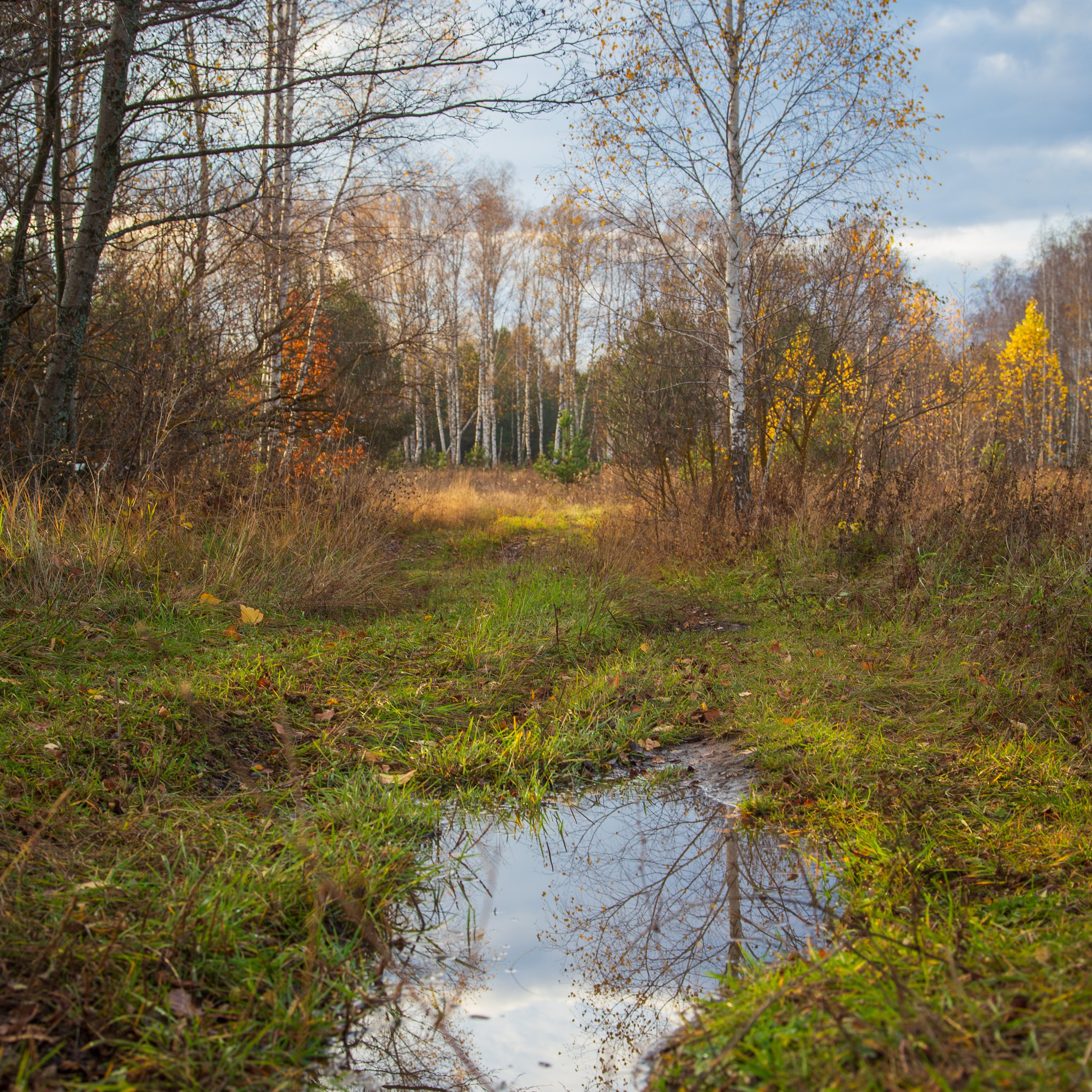 ТВОРЧЕСТВО. Творческая студия АЛНИфото