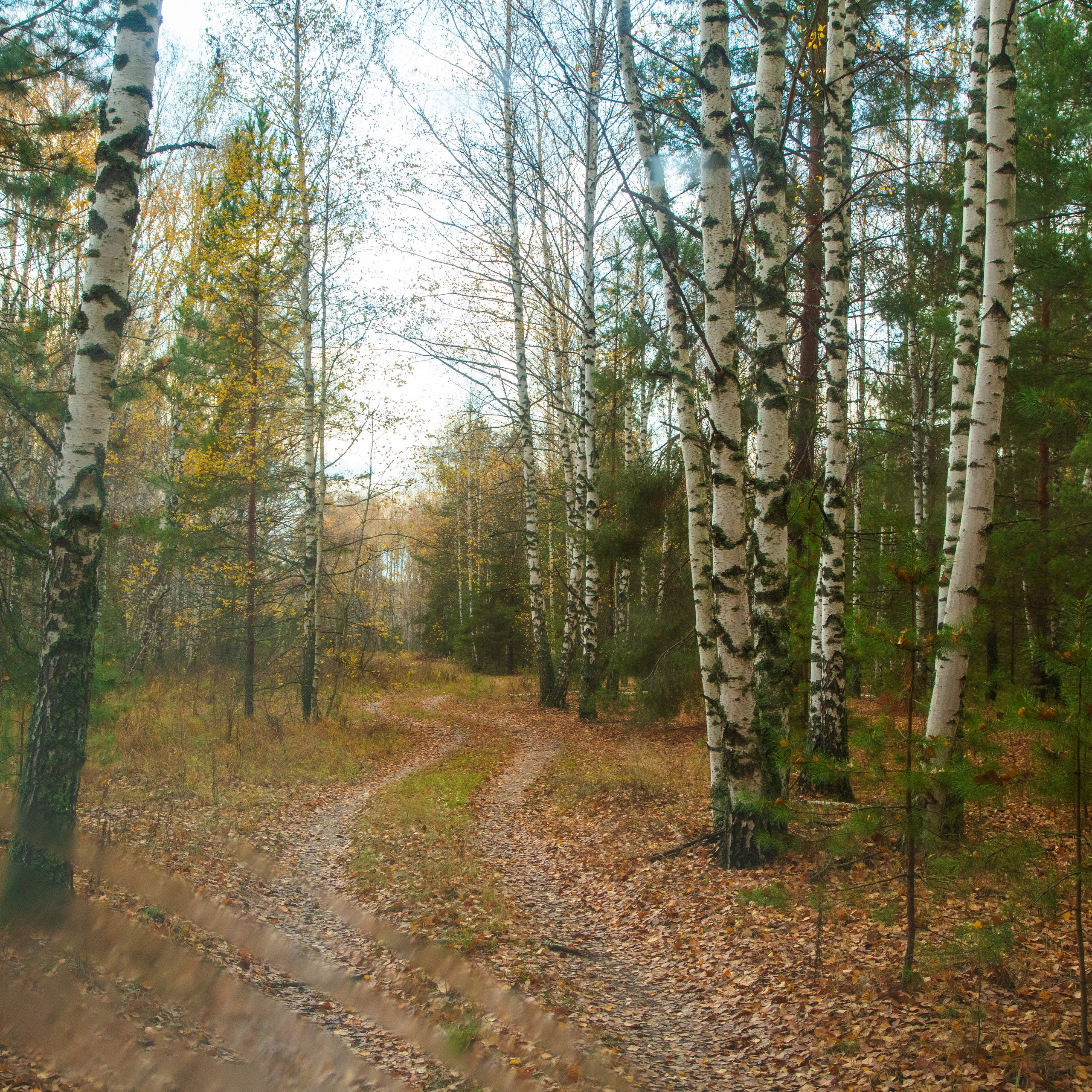 ТВОРЧЕСТВО. Творческая студия АЛНИфото