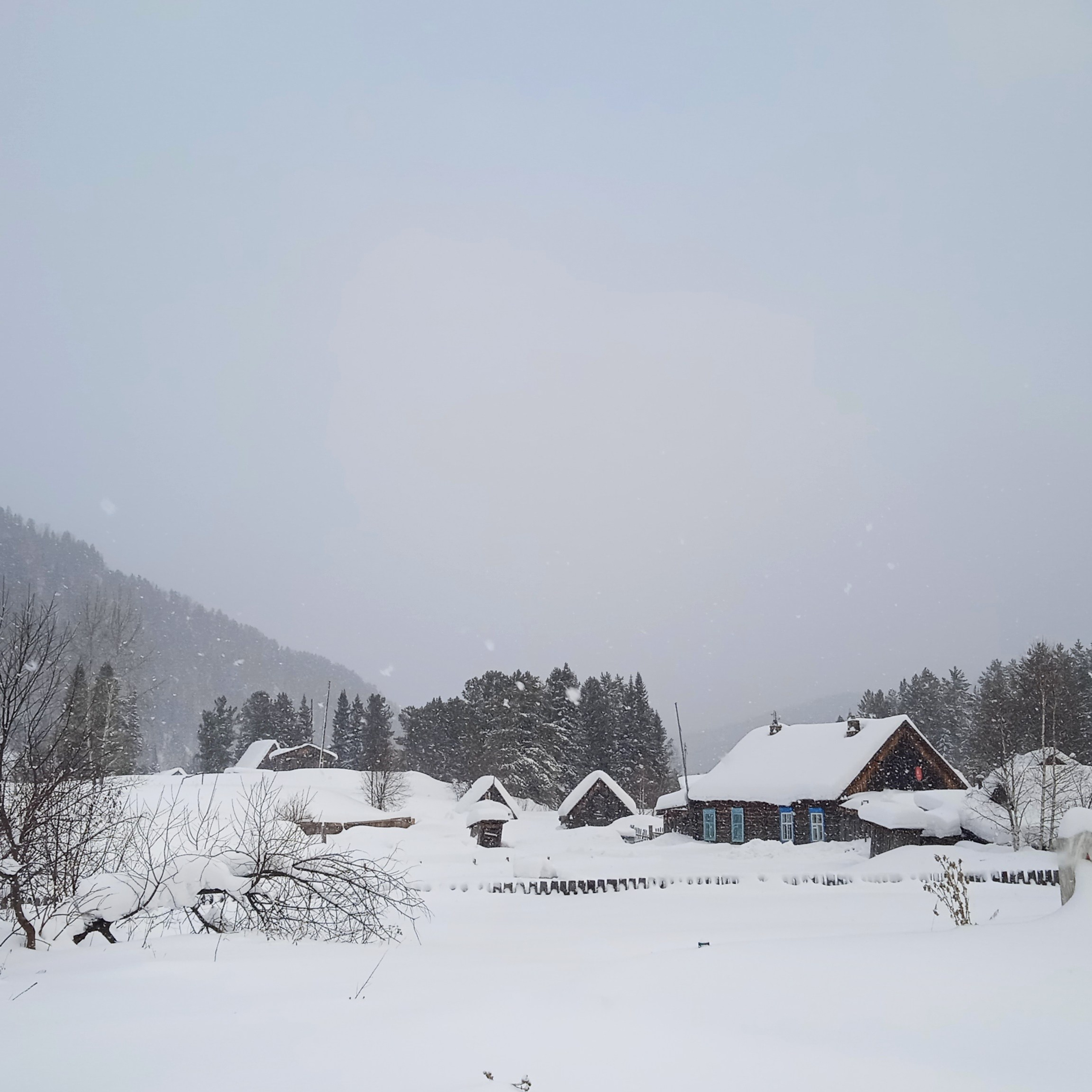 ТВОРЧЕСТВО. Творческая студия АЛНИфото