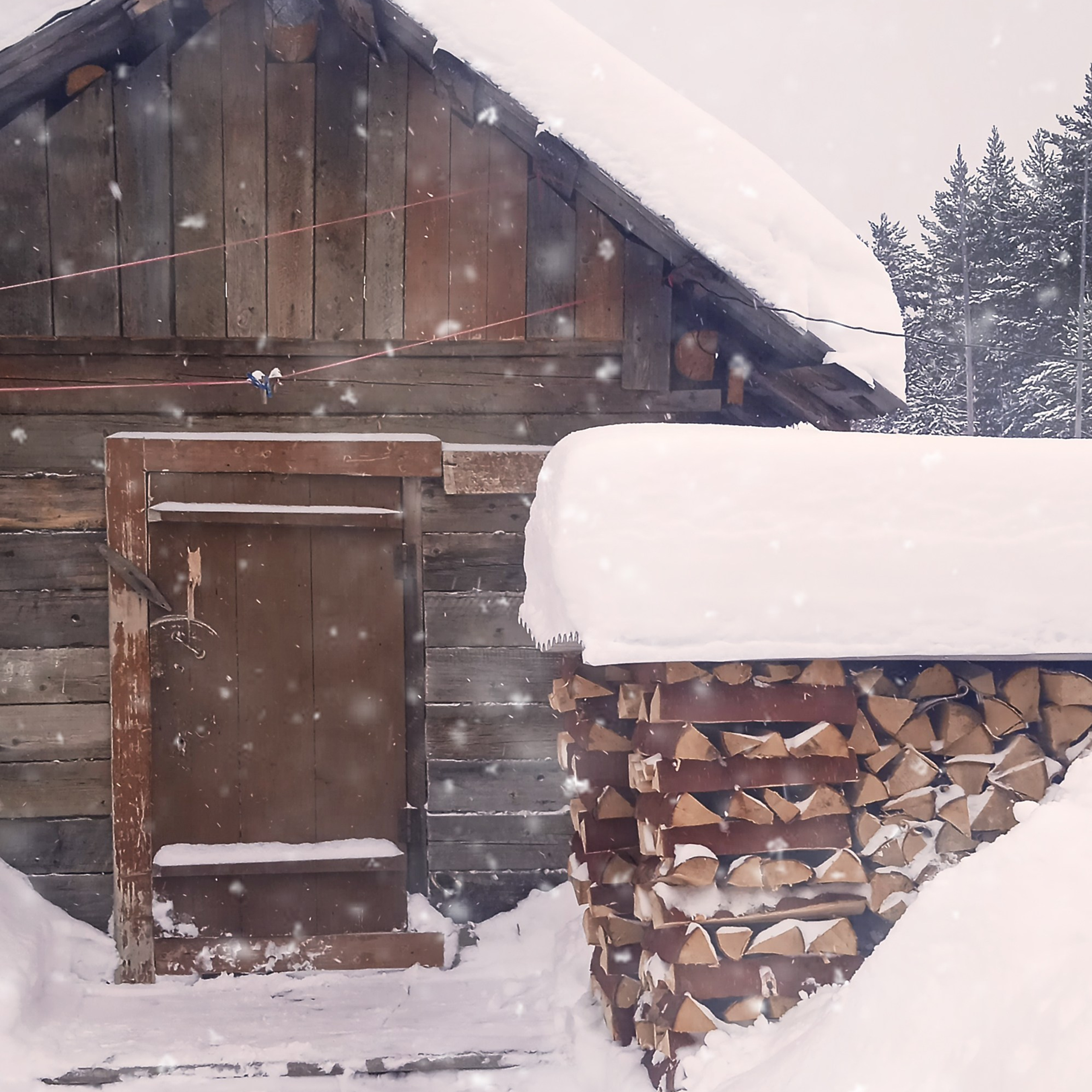 ТВОРЧЕСТВО. Творческая студия АЛНИфото