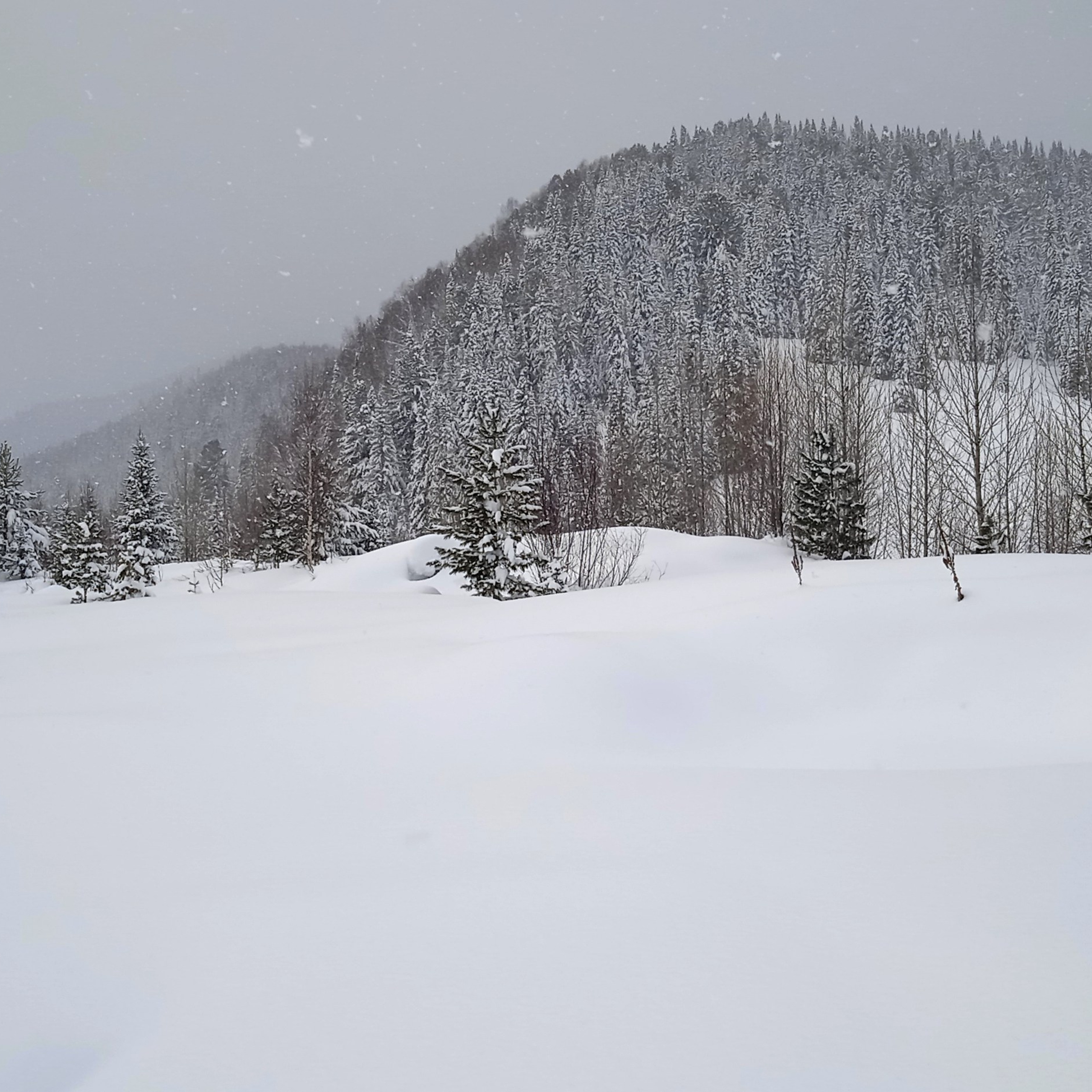 ТВОРЧЕСТВО. Творческая студия АЛНИфото