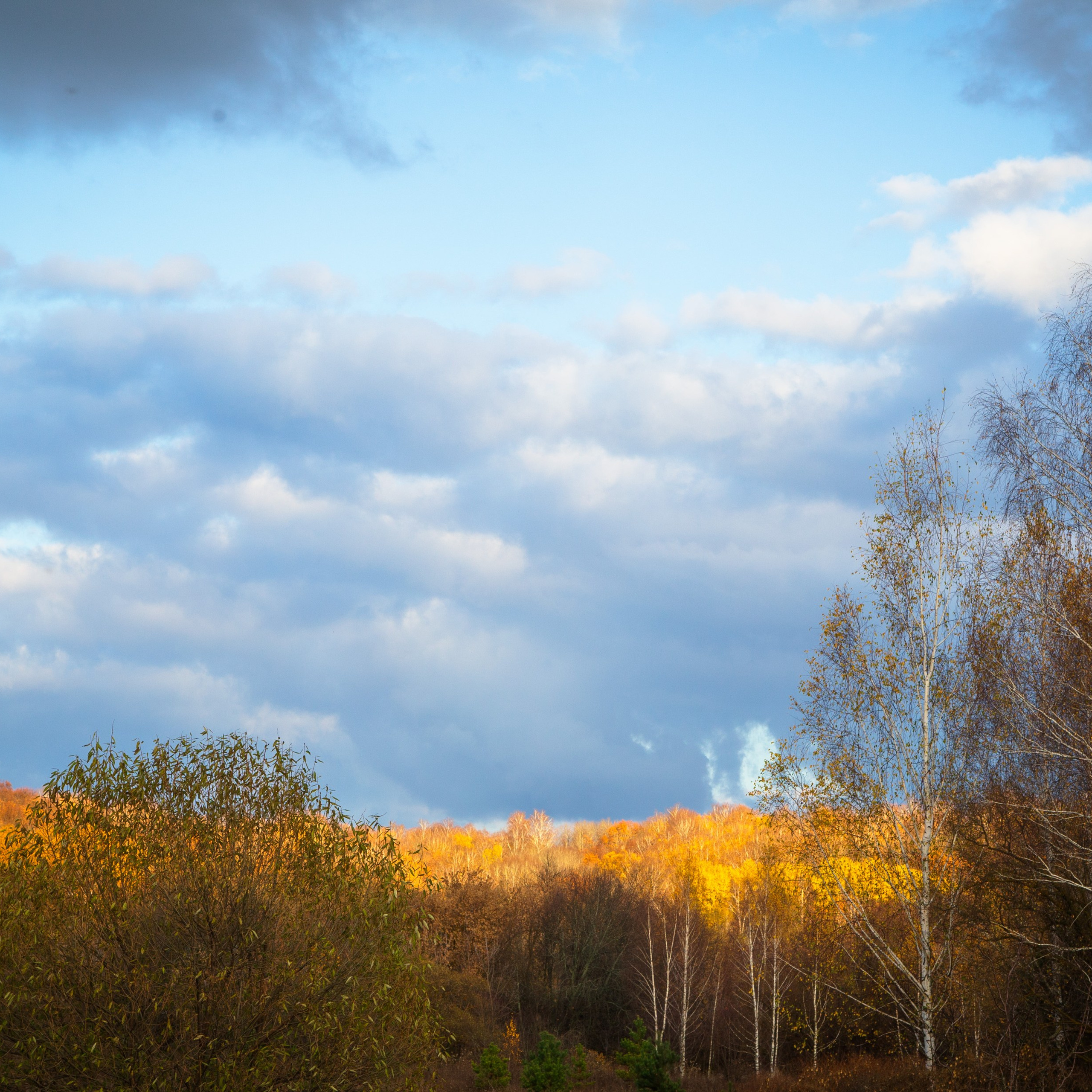 ТВОРЧЕСТВО. Творческая студия АЛНИфото