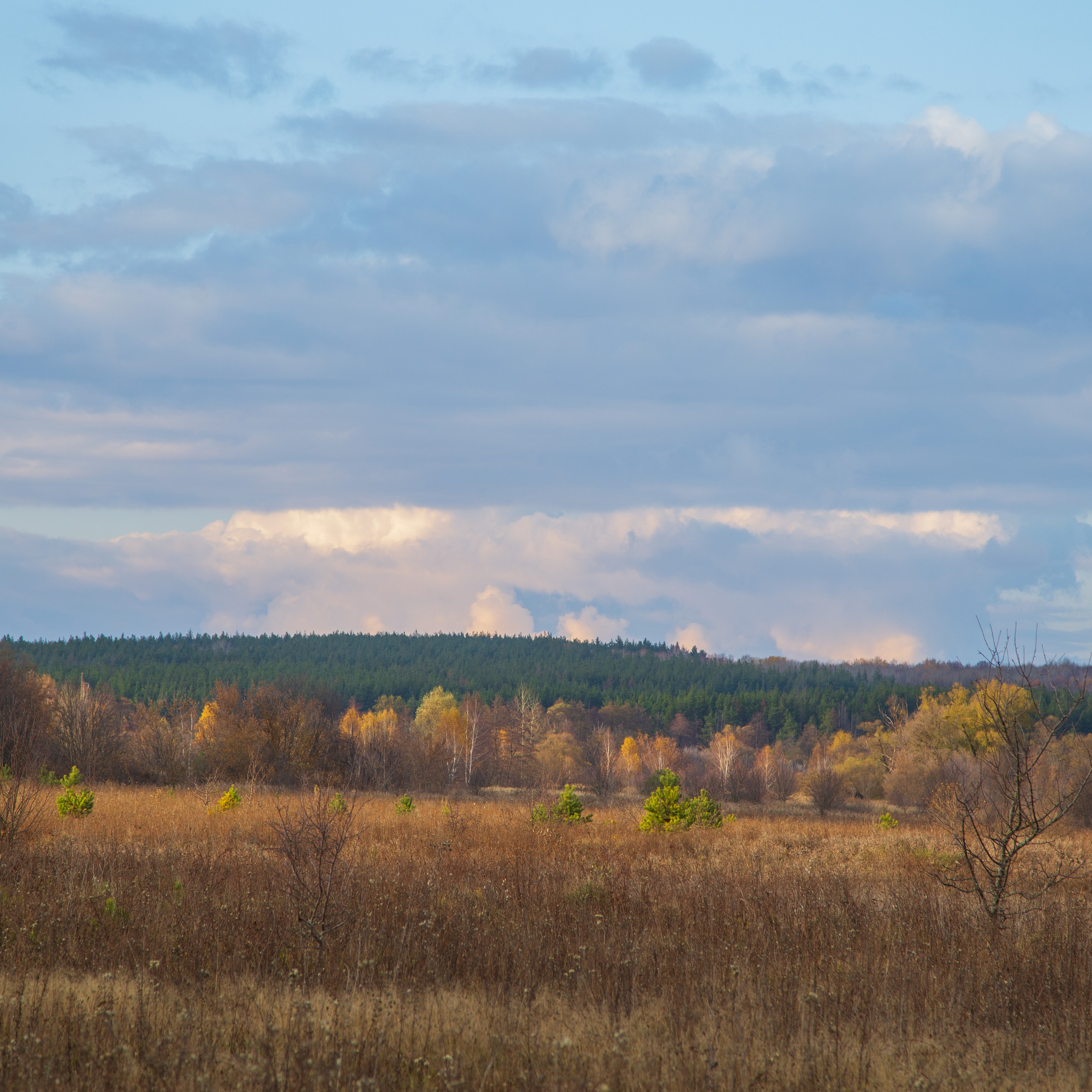 ТВОРЧЕСТВО. Творческая студия АЛНИфото