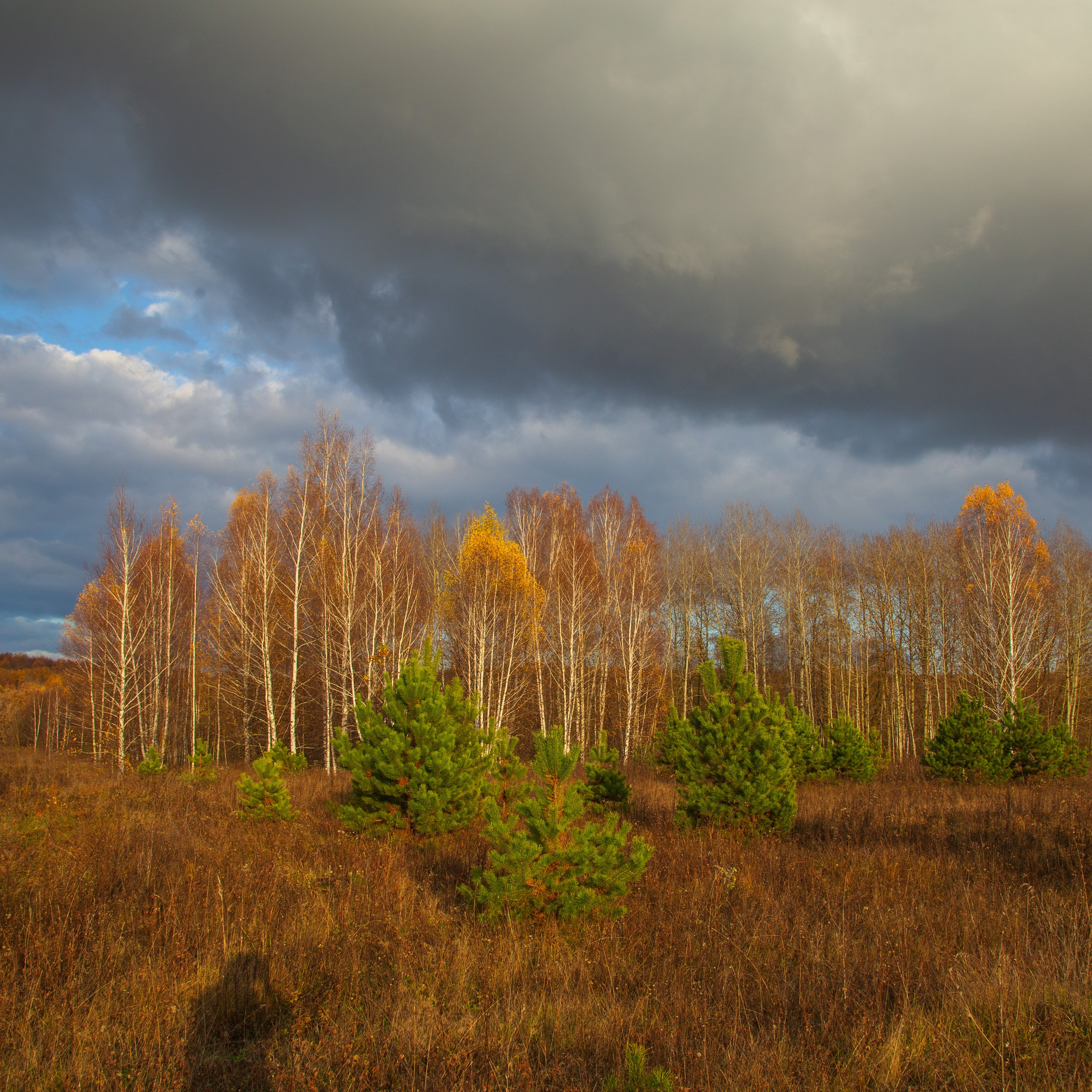 ТВОРЧЕСТВО. Творческая студия АЛНИфото