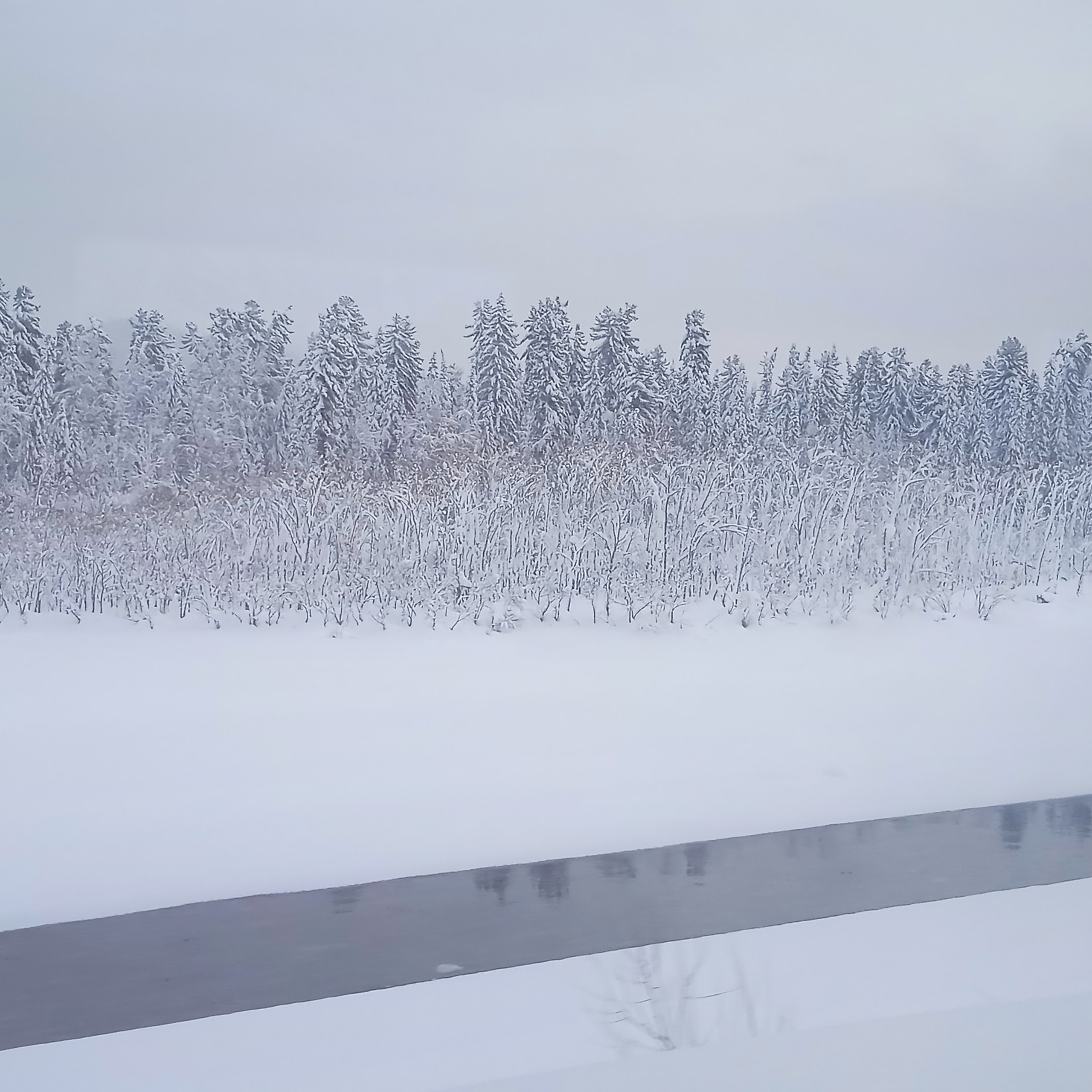 ТВОРЧЕСТВО. Творческая студия АЛНИфото