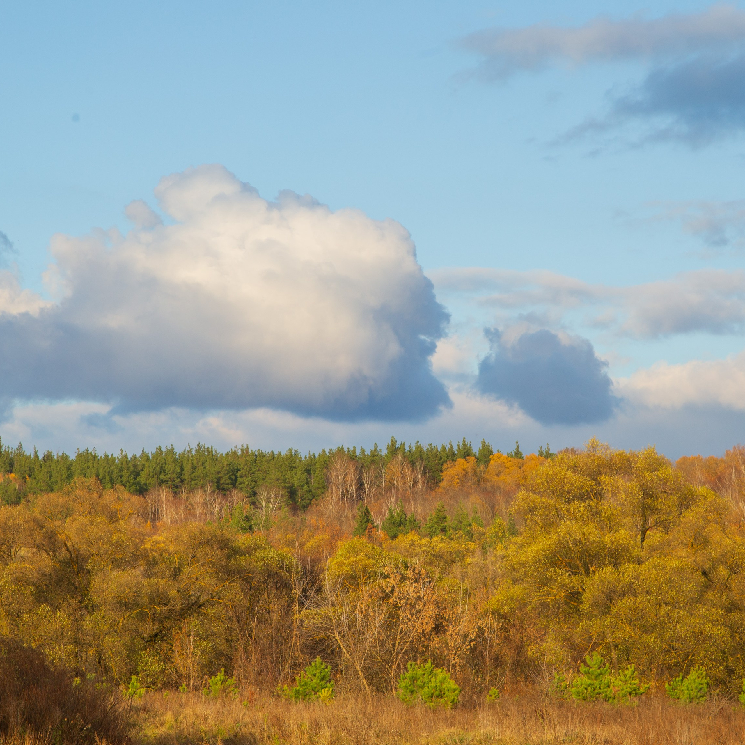 ТВОРЧЕСТВО. Творческая студия АЛНИфото