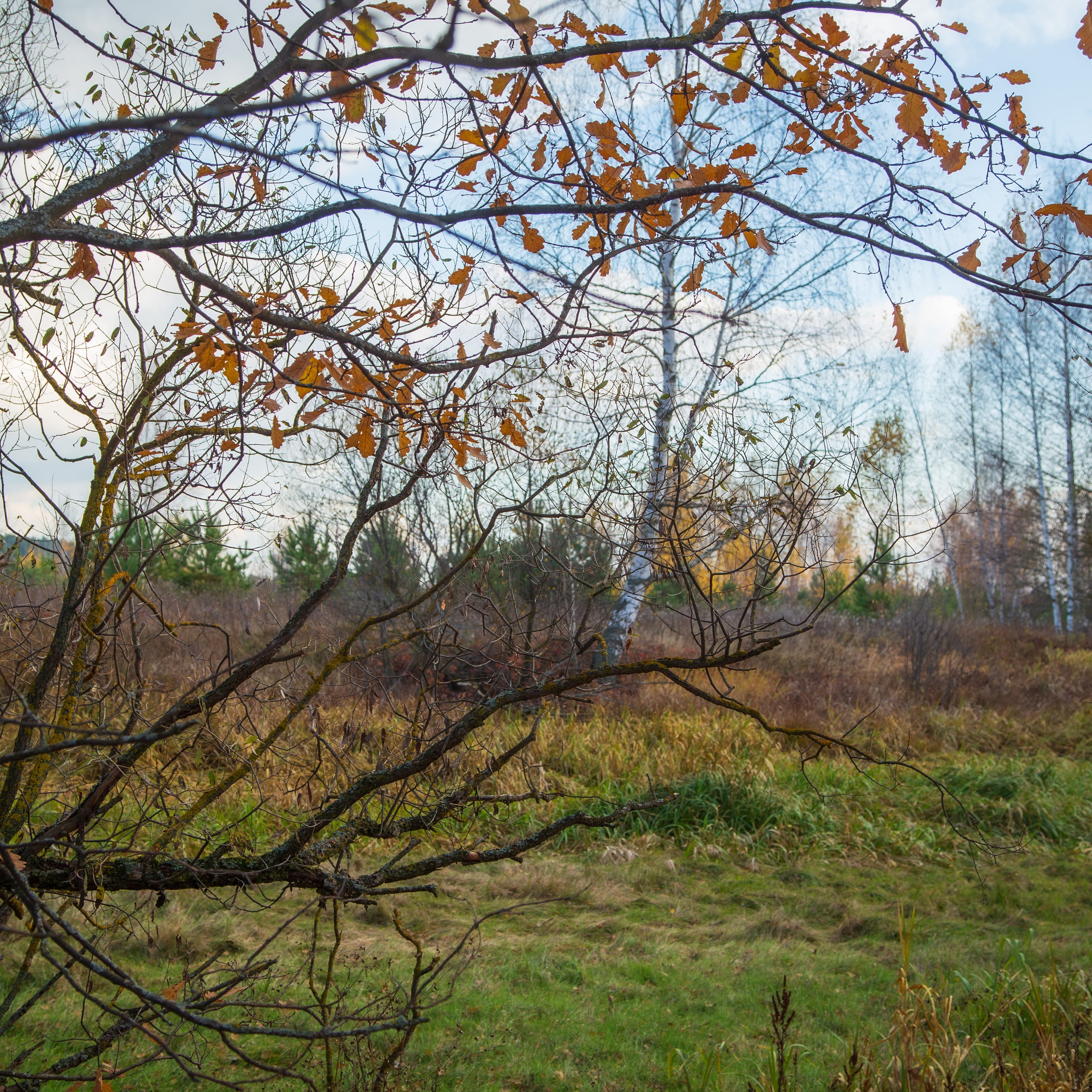 ТВОРЧЕСТВО. Творческая студия АЛНИфото