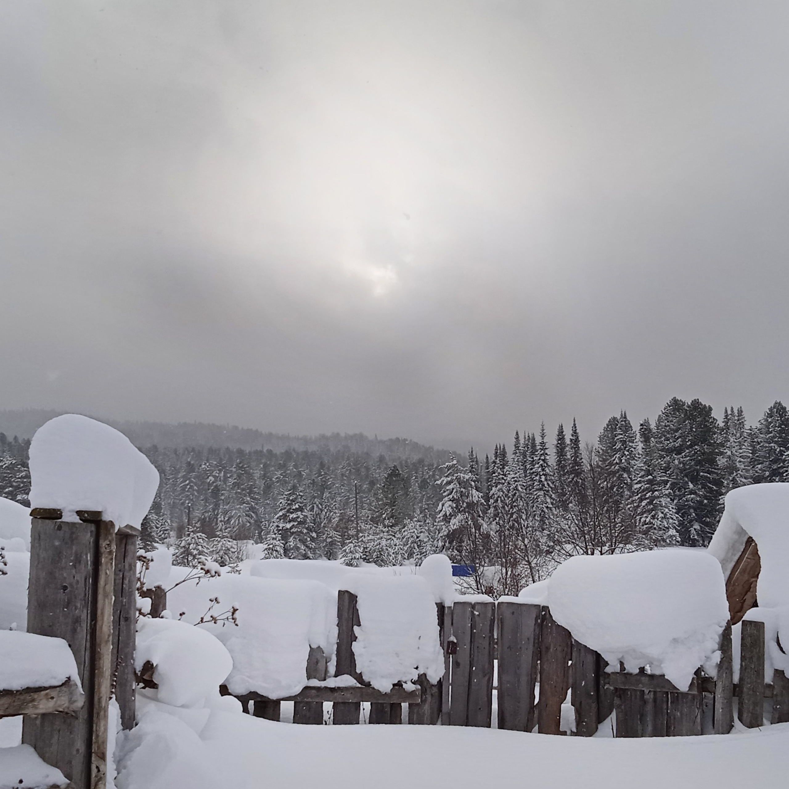 ТВОРЧЕСТВО. Творческая студия АЛНИфото