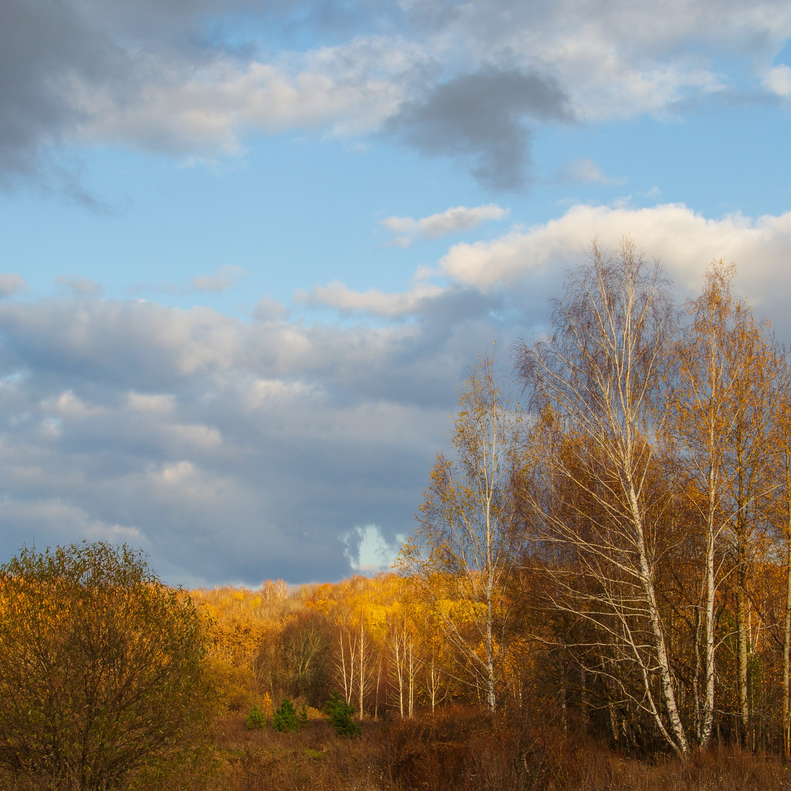 ТВОРЧЕСТВО. Творческая студия АЛНИфото