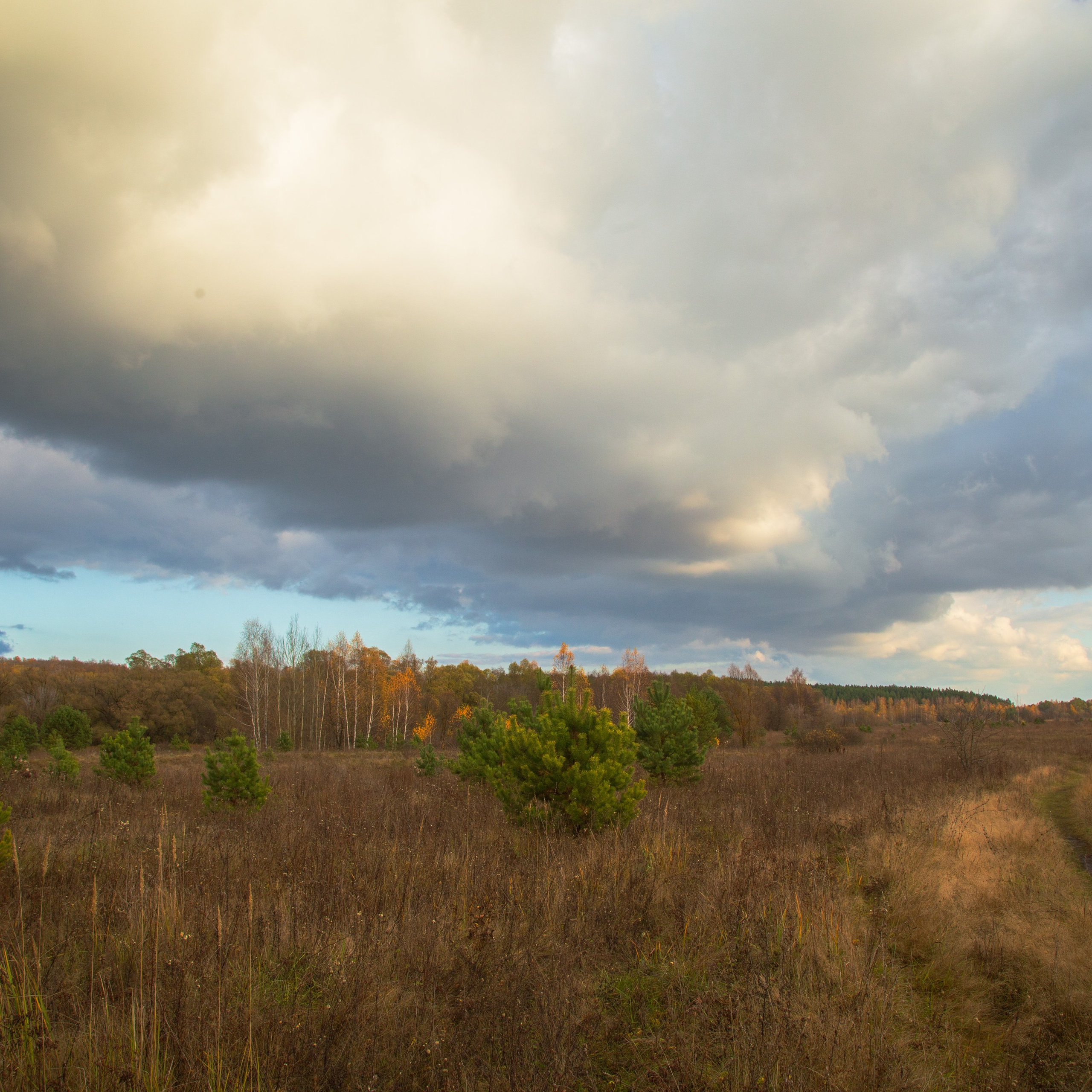 ТВОРЧЕСТВО. Творческая студия АЛНИфото