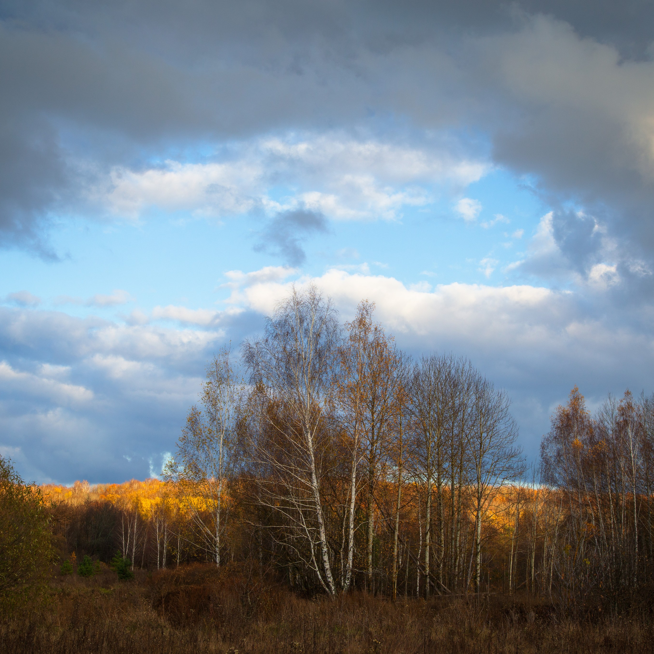 ТВОРЧЕСТВО. Творческая студия АЛНИфото