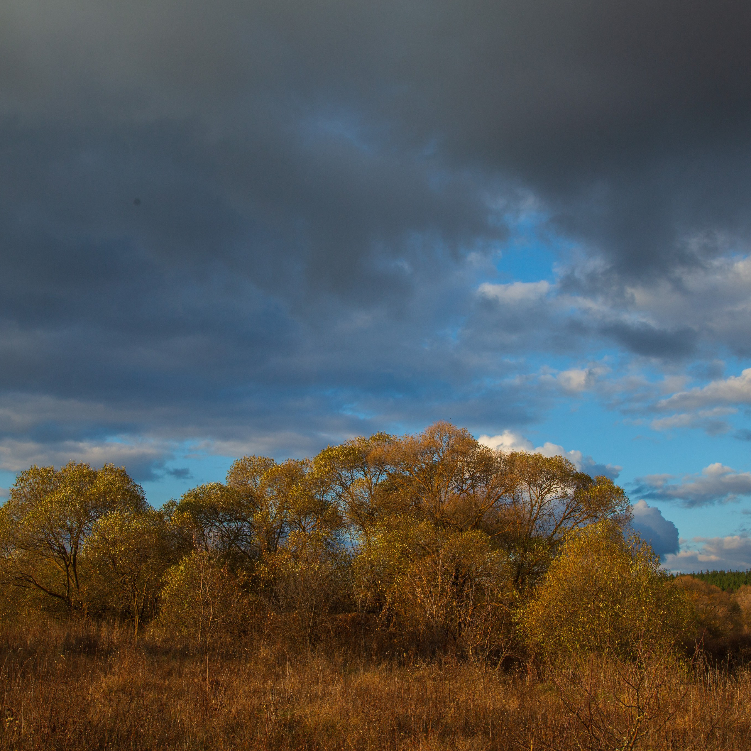 ТВОРЧЕСТВО. Творческая студия АЛНИфото