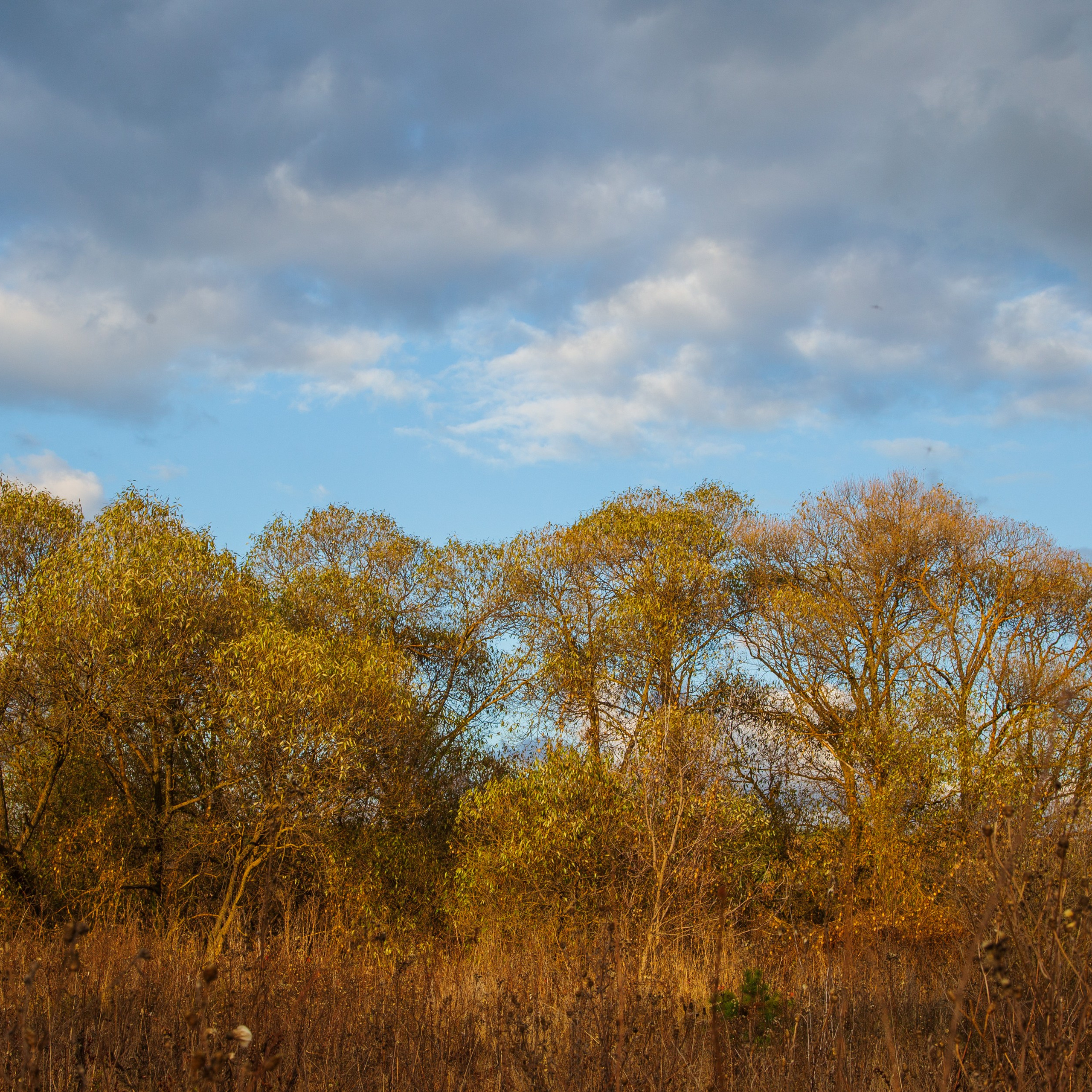 ТВОРЧЕСТВО. Творческая студия АЛНИфото