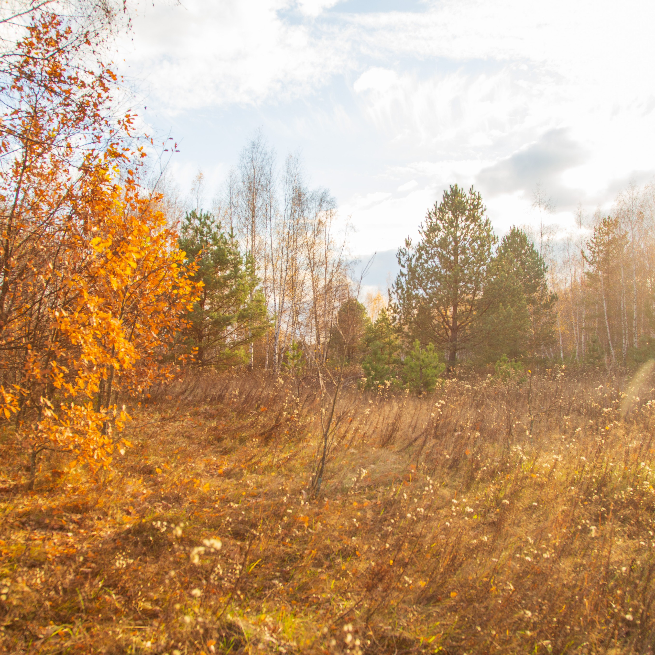ТВОРЧЕСТВО. Творческая студия АЛНИфото