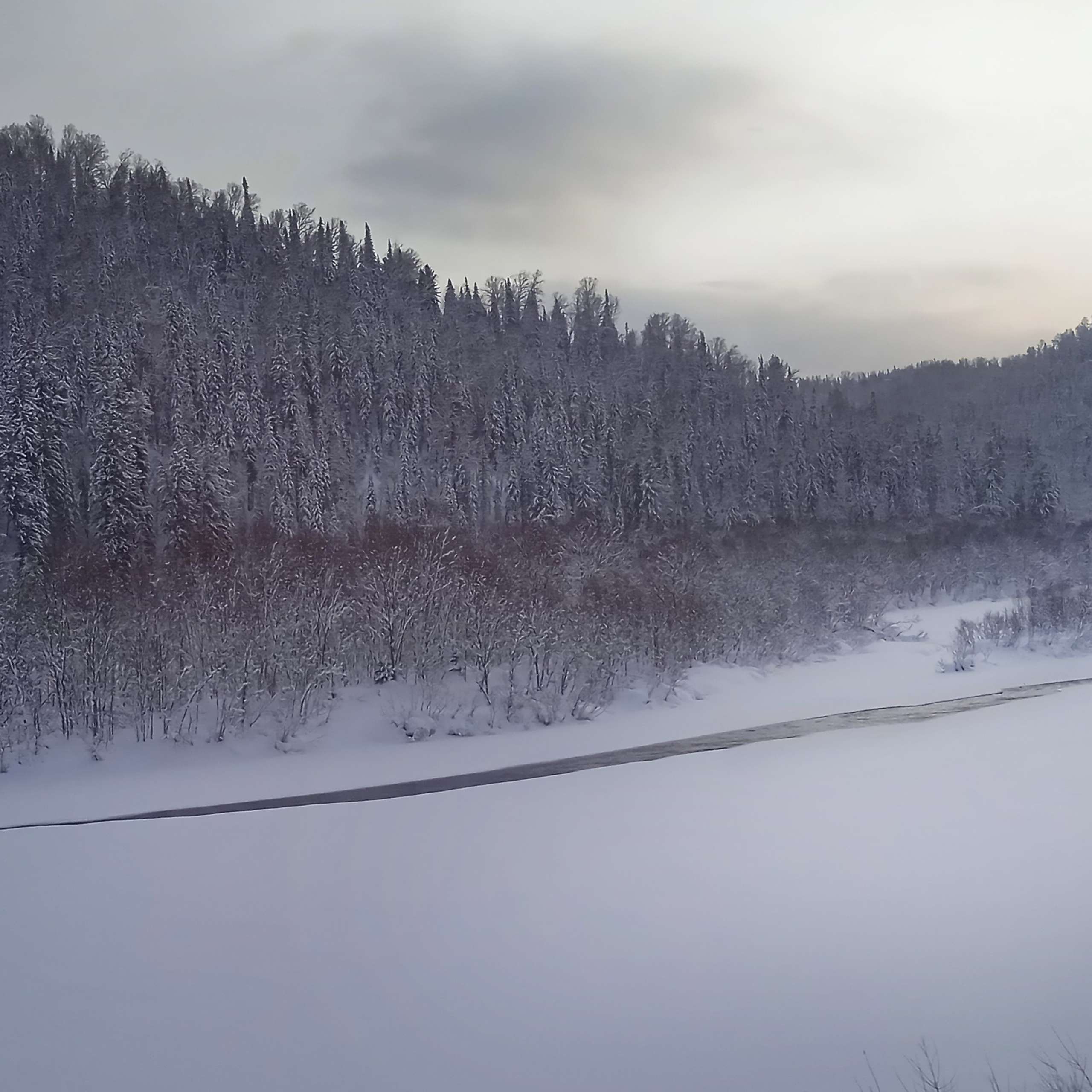 ТВОРЧЕСТВО. Творческая студия АЛНИфото