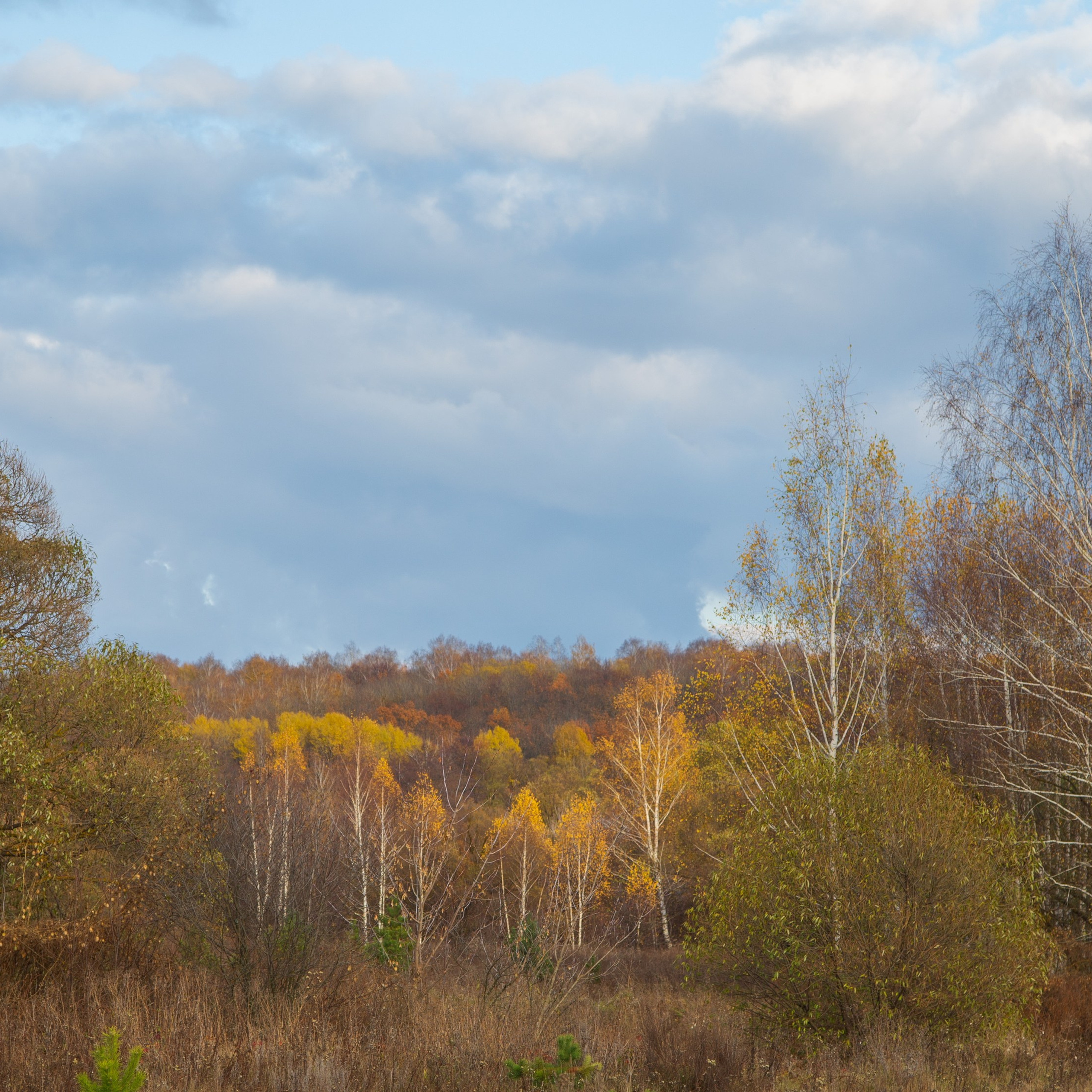 ТВОРЧЕСТВО. Творческая студия АЛНИфото