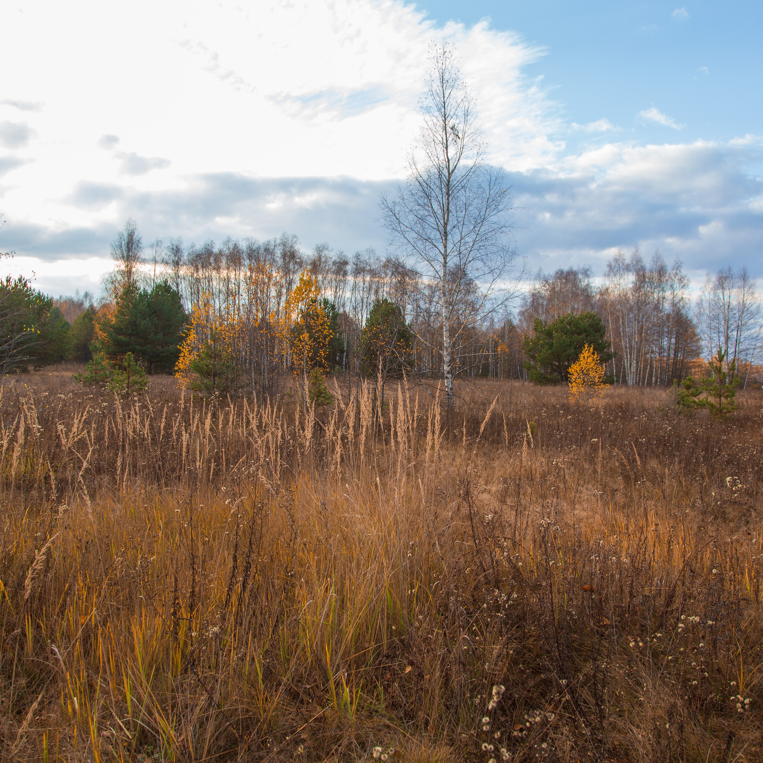 ТВОРЧЕСТВО. Творческая студия АЛНИфото