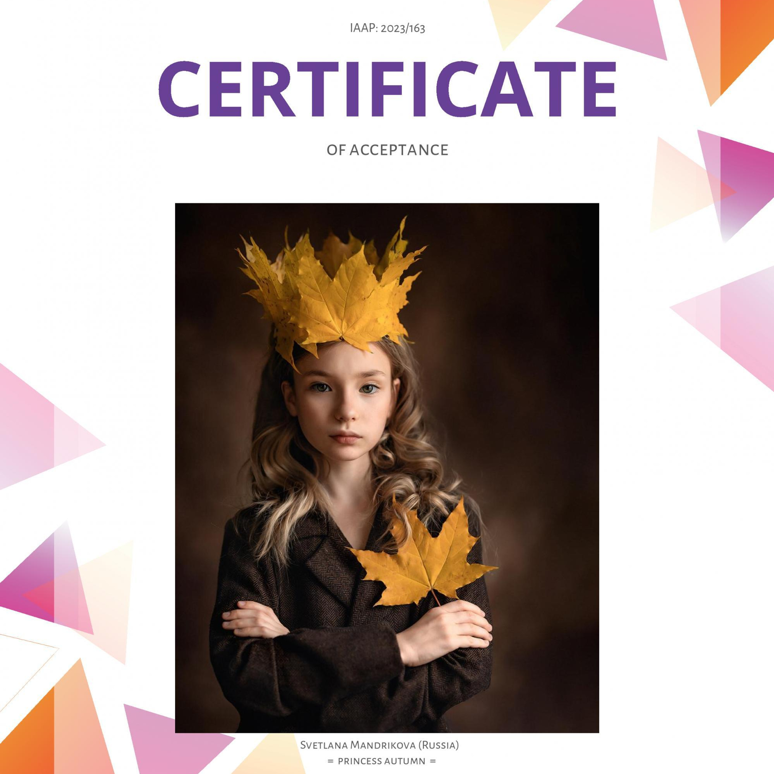 Мои достижения. Детский и семейный фотограф в Челябинске Мандрикова Светлана