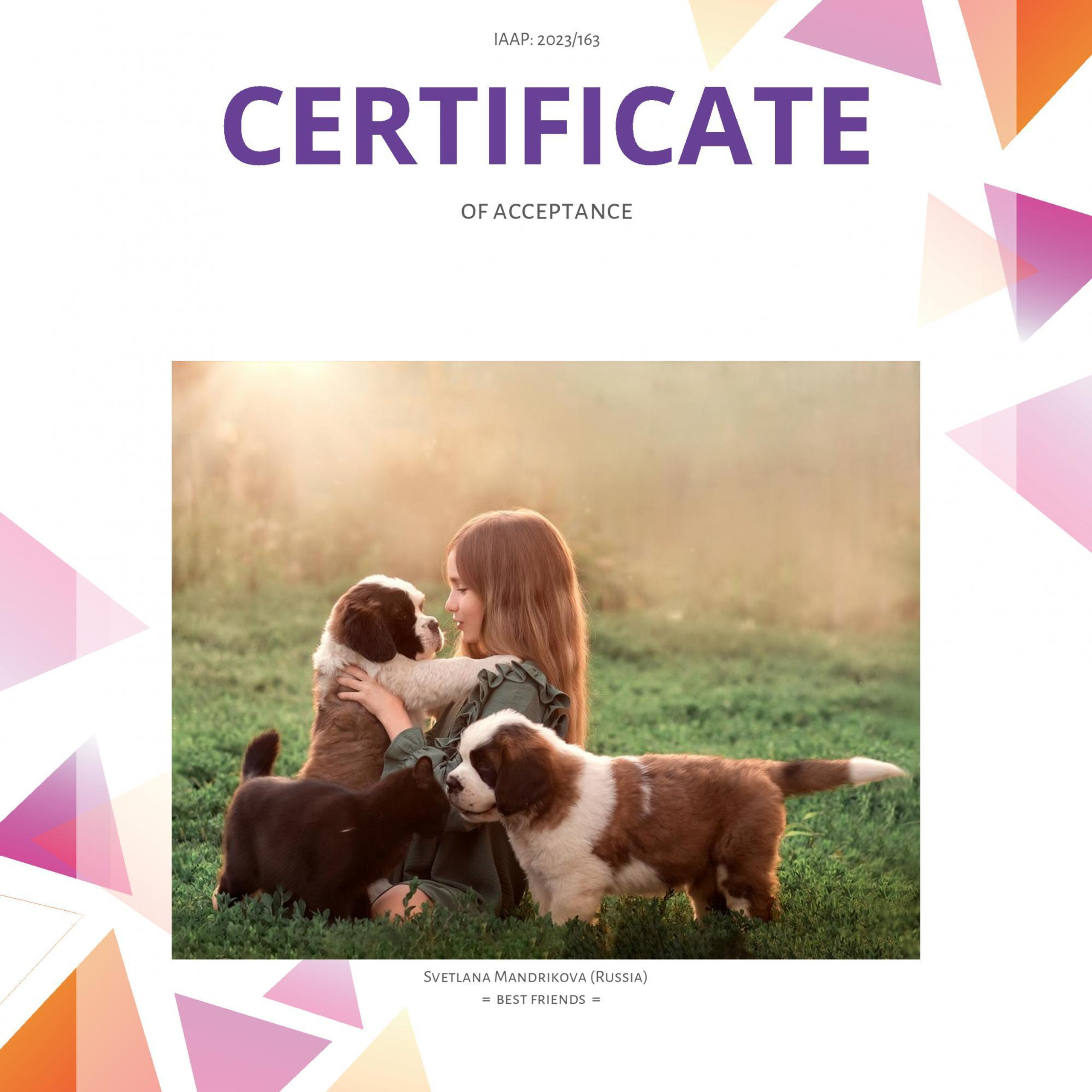 Мои достижения. Детский и семейный фотограф в Челябинске Мандрикова Светлана