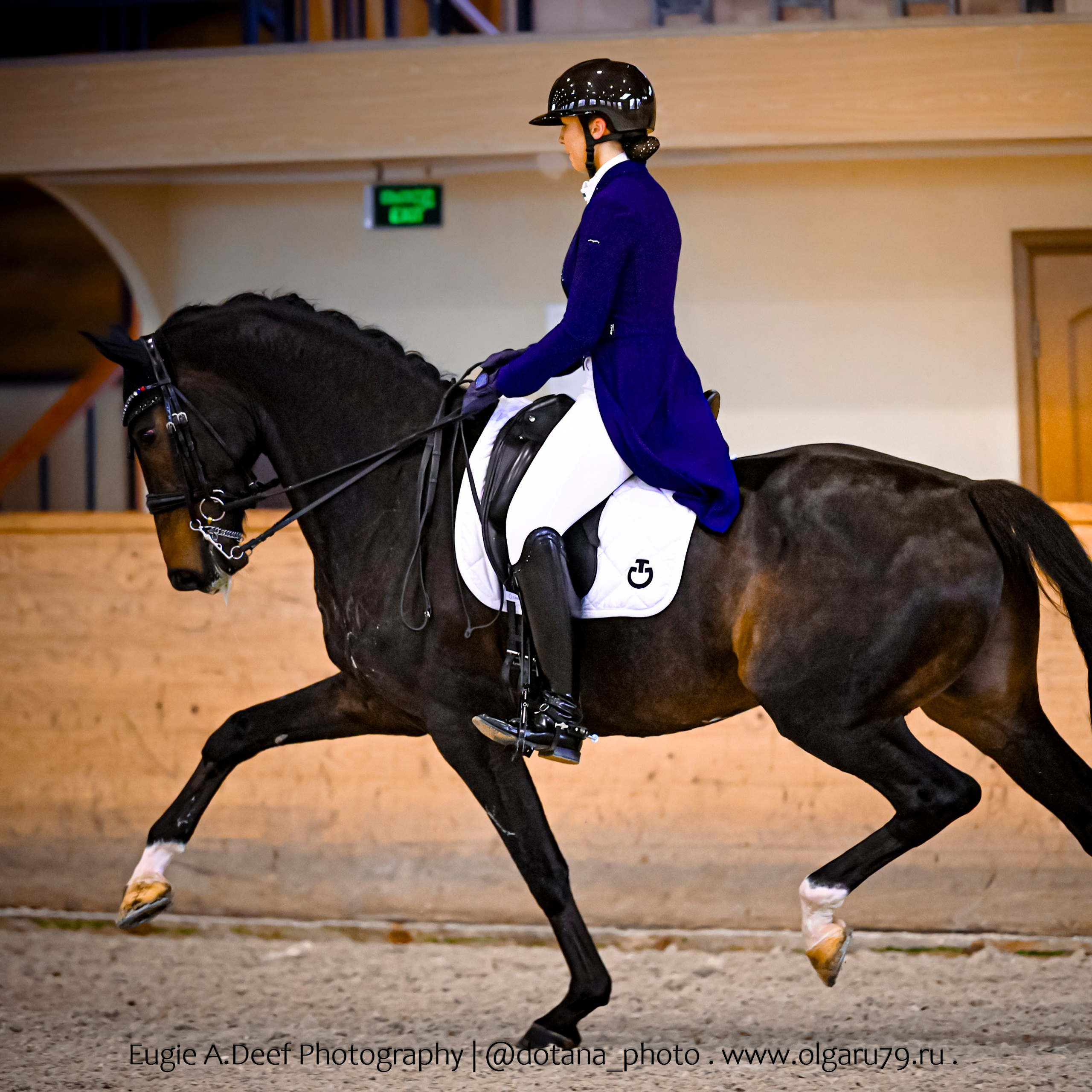2025.12.06 — КСК Пегас — выездка. ТУРНИРНАЯ КОННАЯ ФОТОГРАФИЯ, Руднева Ольга и Евгений Адеев
