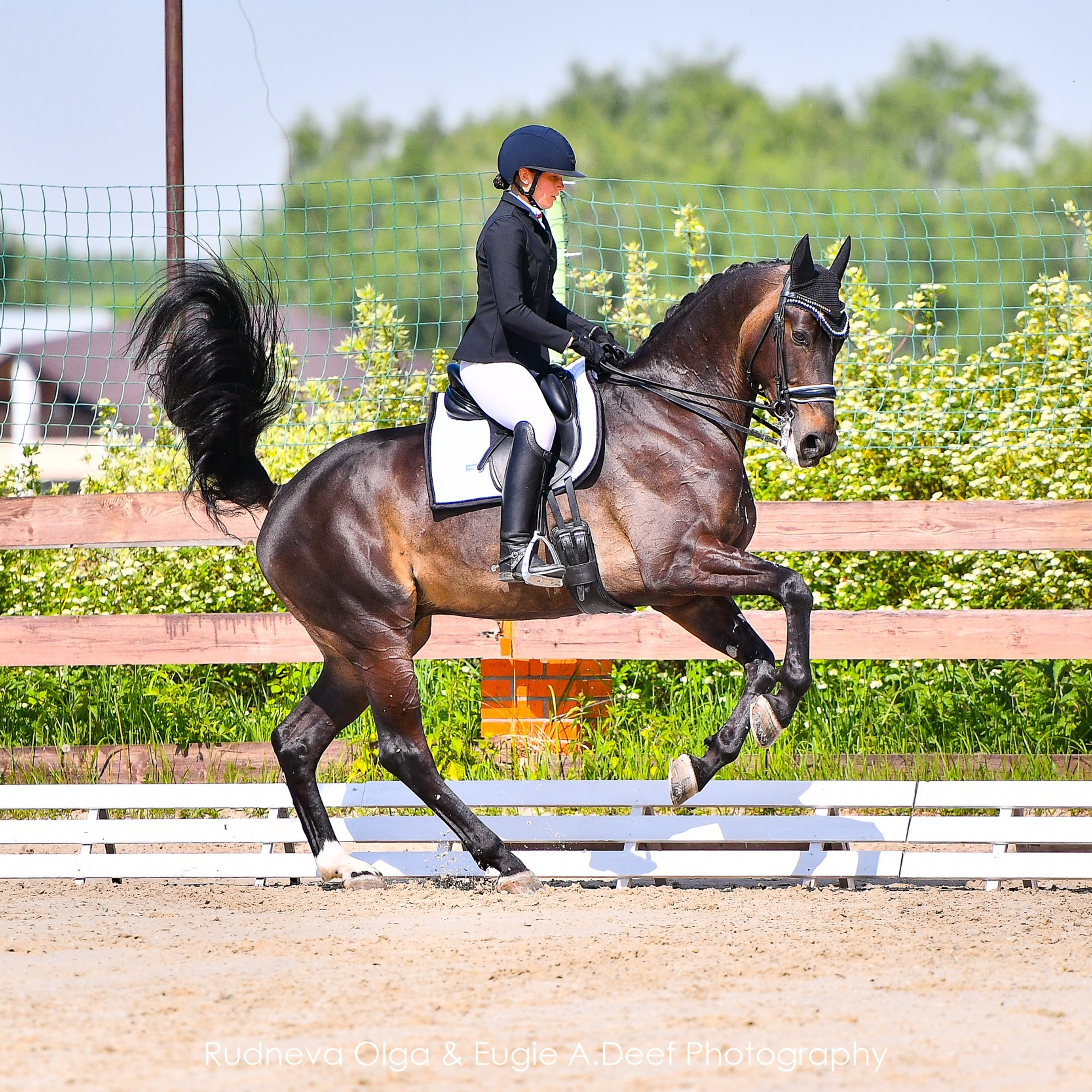 турнир «Здравствуй, Лето!» Москва КониШкола «Олимпия» — май 2024