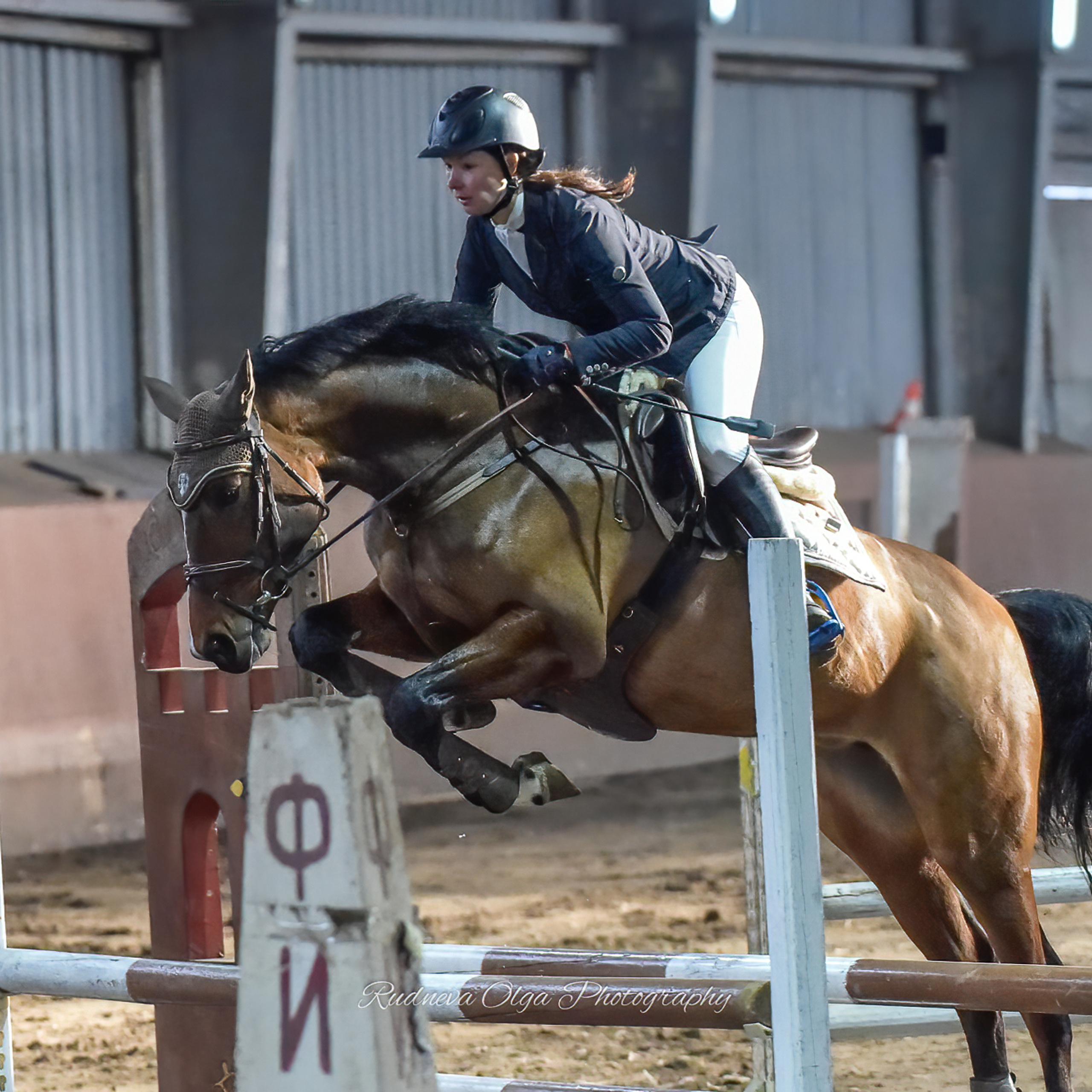 2019-11-24 Осенний Кубок КСК «Сокорос» по конкуру • 3 этап