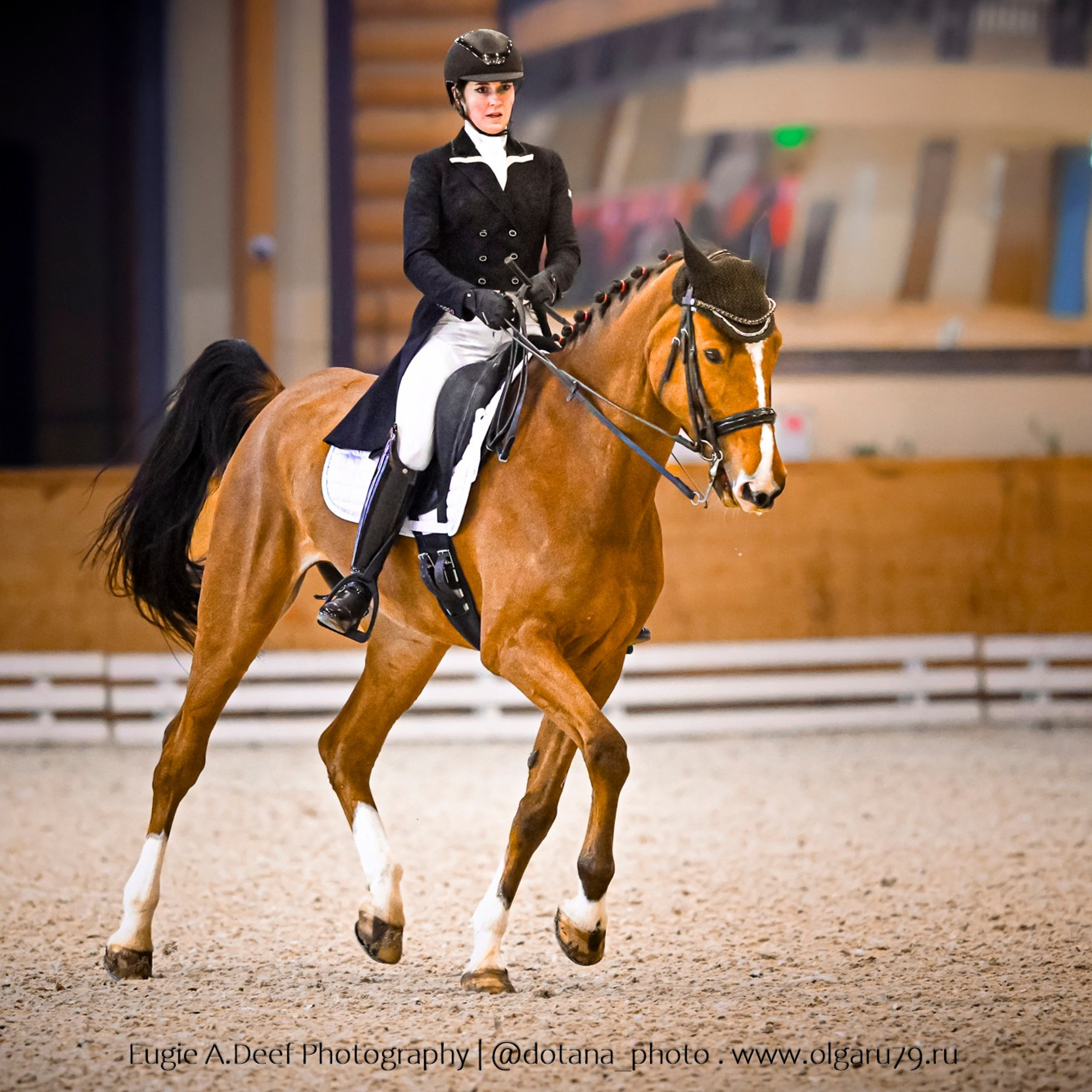 2025.12.06 — КСК Пегас — выездка. ТУРНИРНАЯ КОННАЯ ФОТОГРАФИЯ, Руднева Ольга и Евгений Адеев