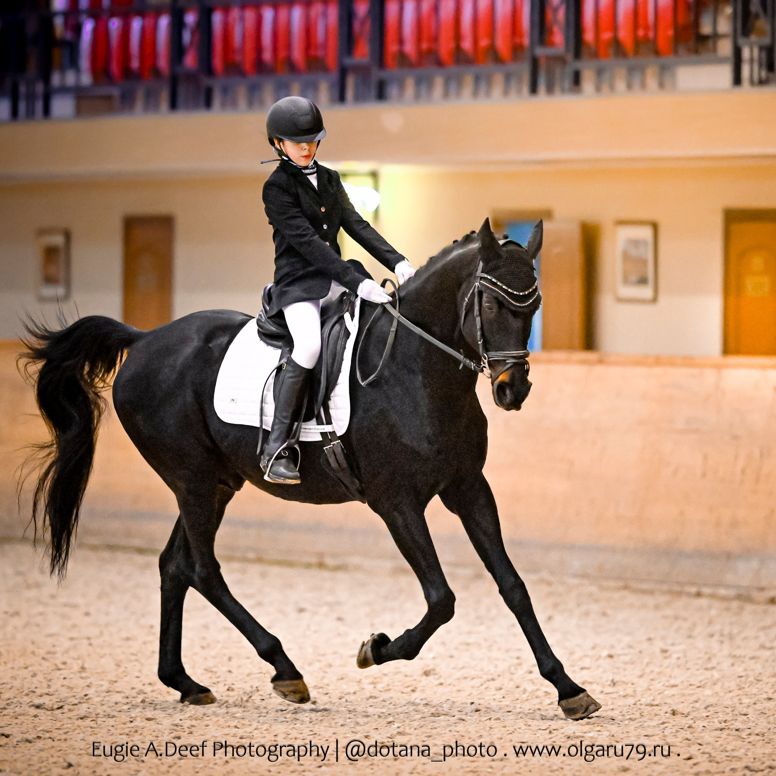 2025.12.06 — КСК Пегас — выездка. ТУРНИРНАЯ КОННАЯ ФОТОГРАФИЯ, Руднева Ольга и Евгений Адеев